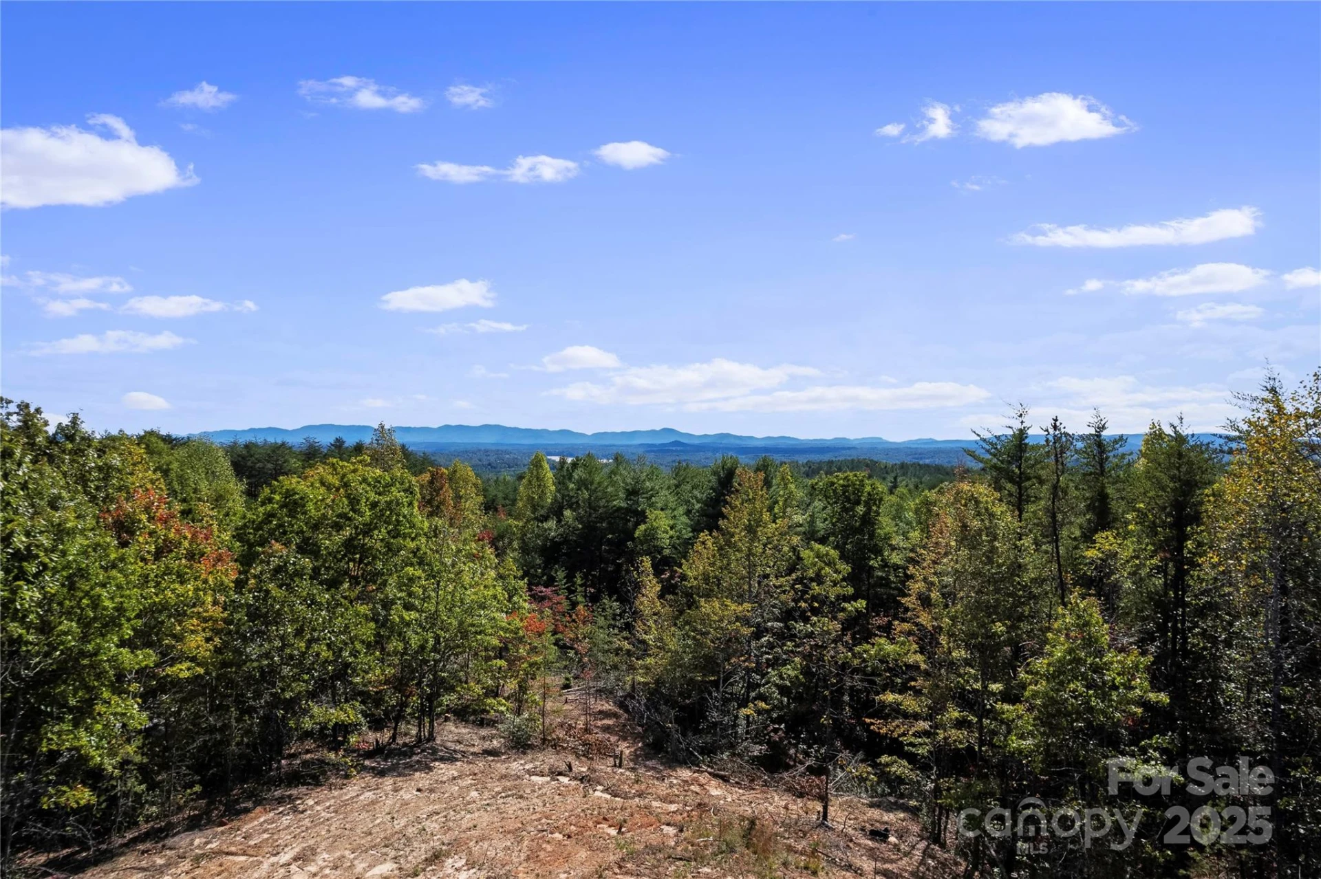 9028 Shortoff View Terrace - Photo 3