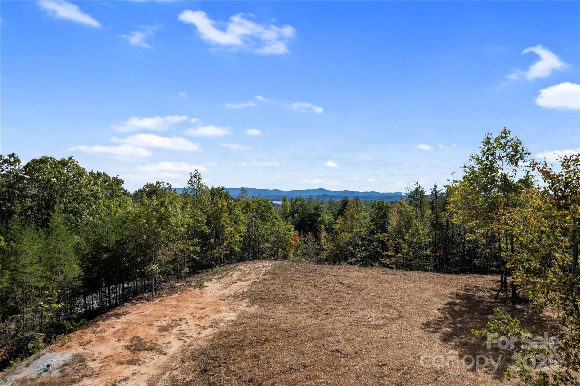 9028 Shortoff View Terrace - Photo 4