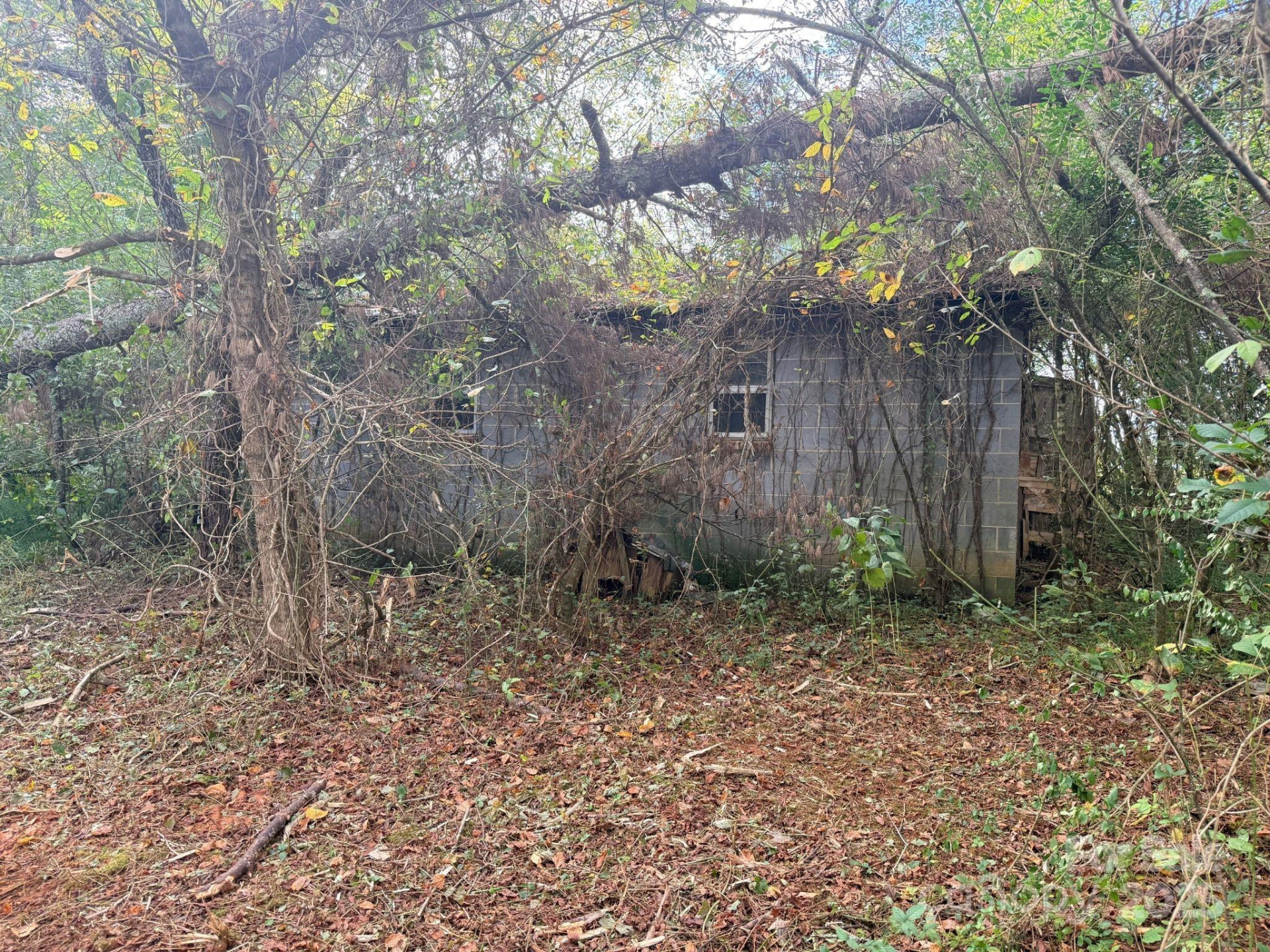 2048 Rader Circle - Photo 8