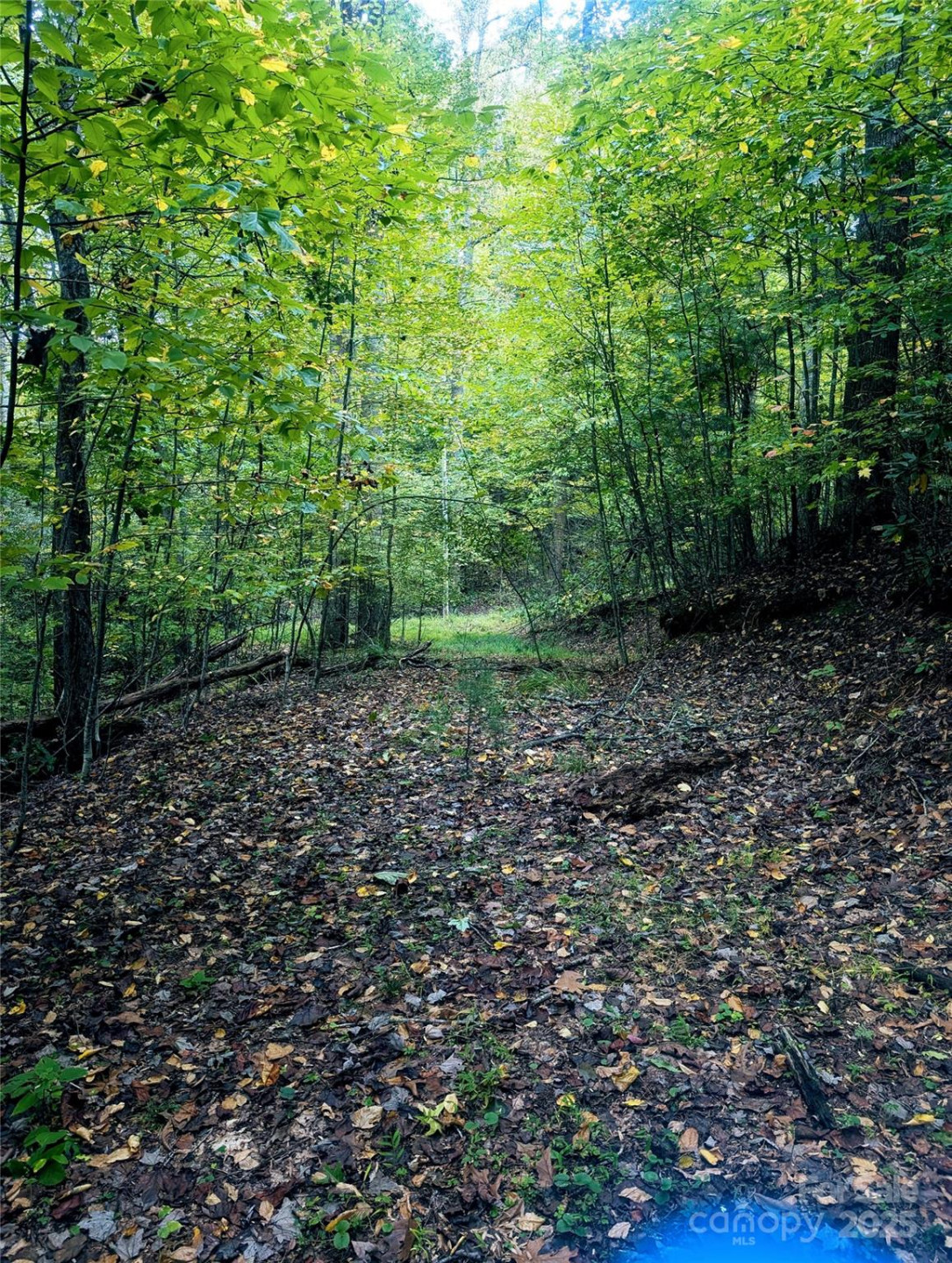 0 Luxury Lake None #5A/6A/7A