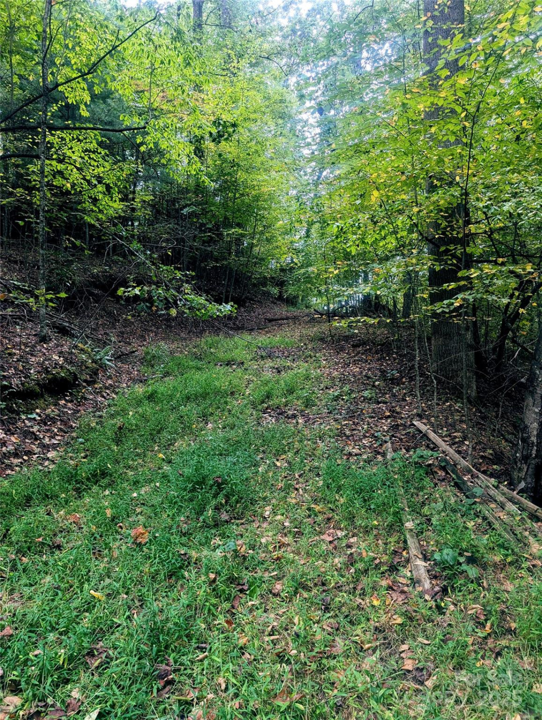 0 Luxury Lake None #5A/6A/7A - Photo 11