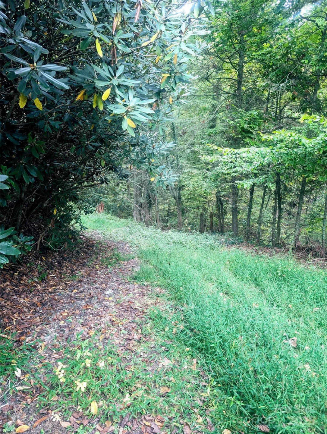 0 Luxury Lake None #5A/6A/7A - Photo 12