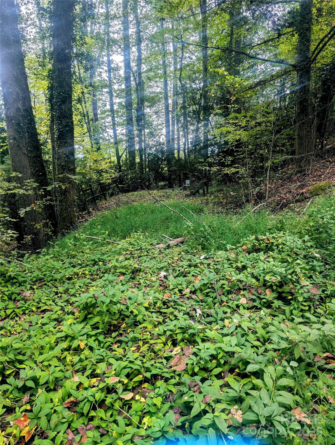 0 Luxury Lake None #5A/6A/7A - Photo 14