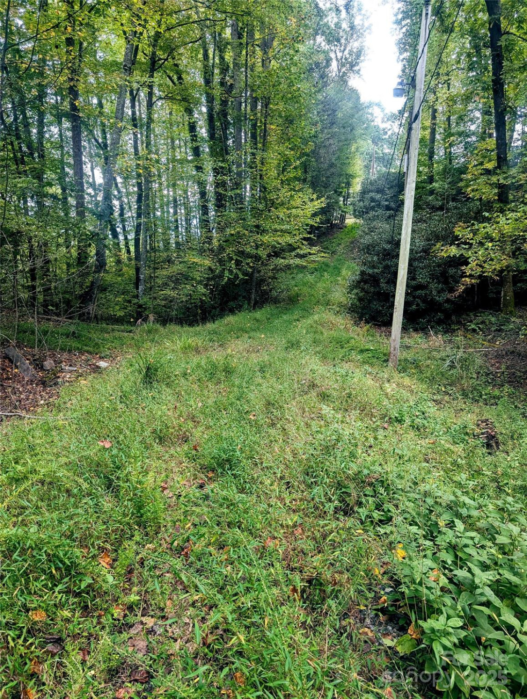 0 Luxury Lake None #5A/6A/7A - Photo 4