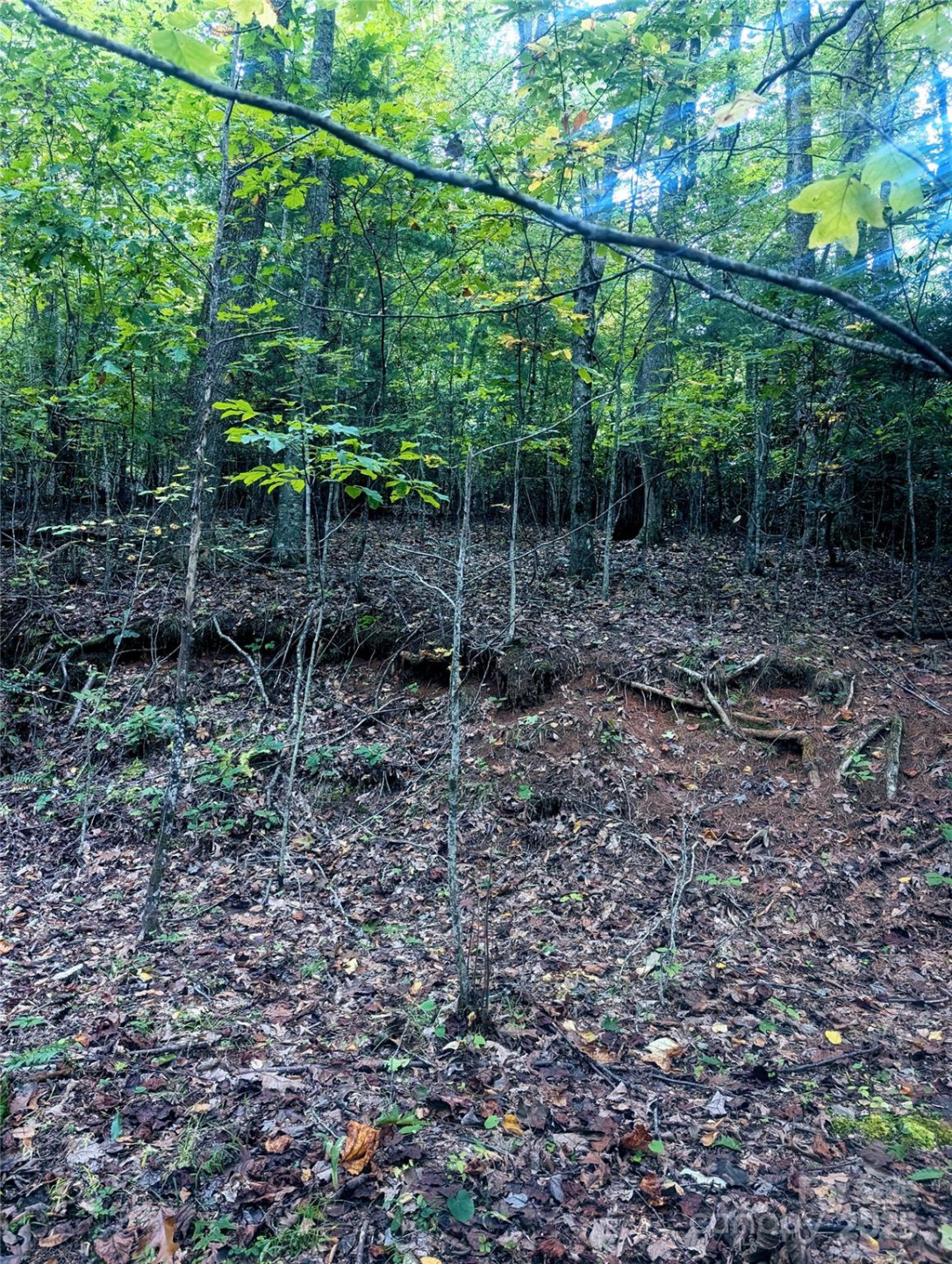 0 Luxury Lake None #5A/6A/7A - Photo 5