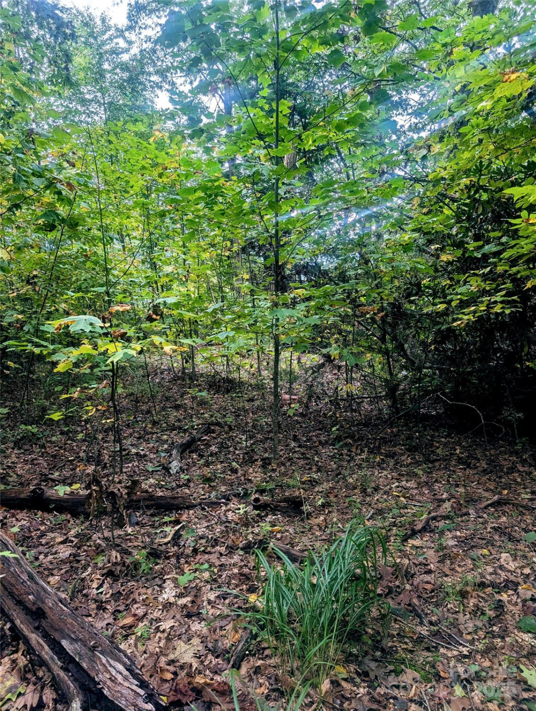 0 Luxury Lake None #5A/6A/7A - Photo 6