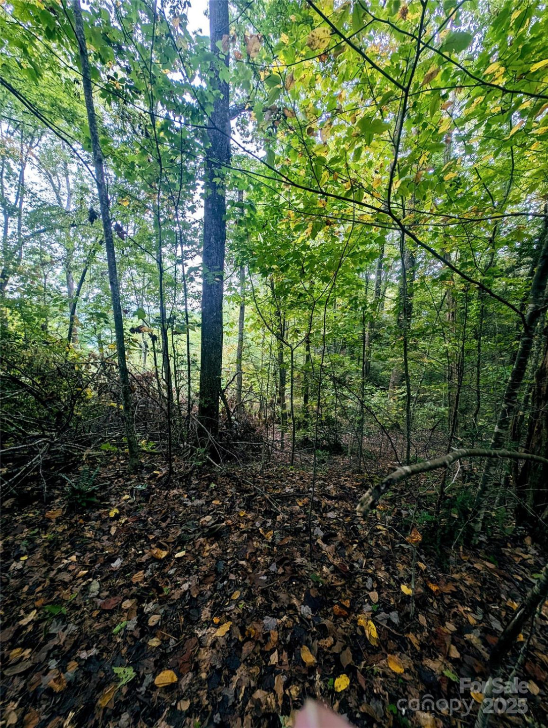 0 Luxury Lake None #5A/6A/7A - Photo 8