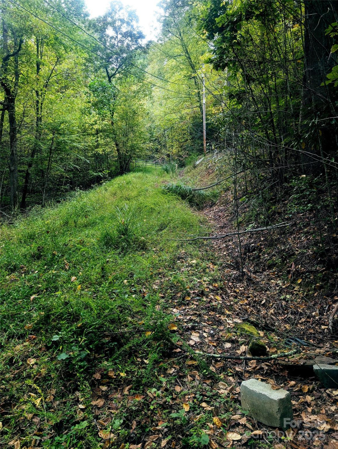 0 Luxury Lake None #5A/6A/7A - Photo 9