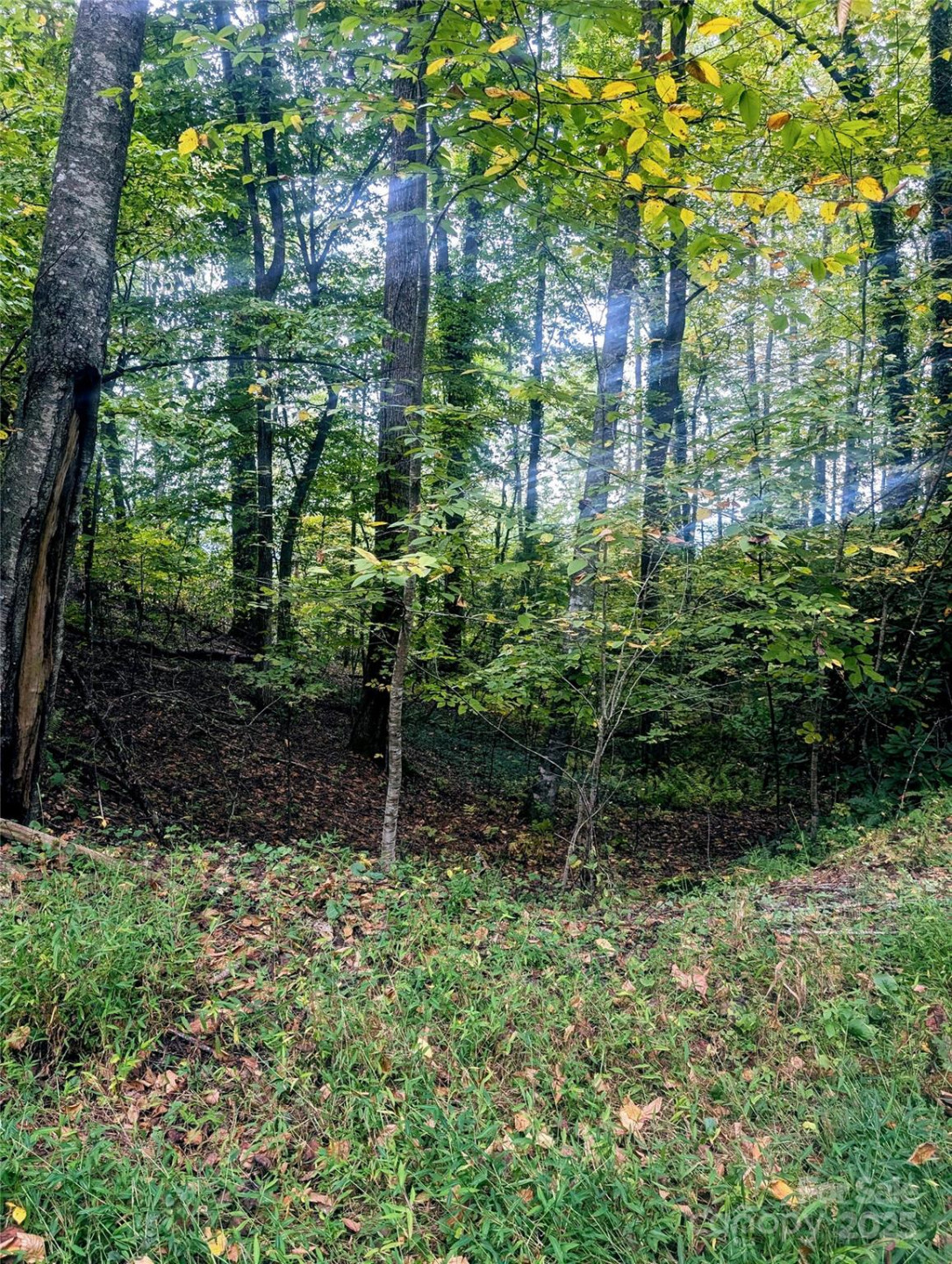 0 Luxury Lake None #5A/6A/7A - Photo 10