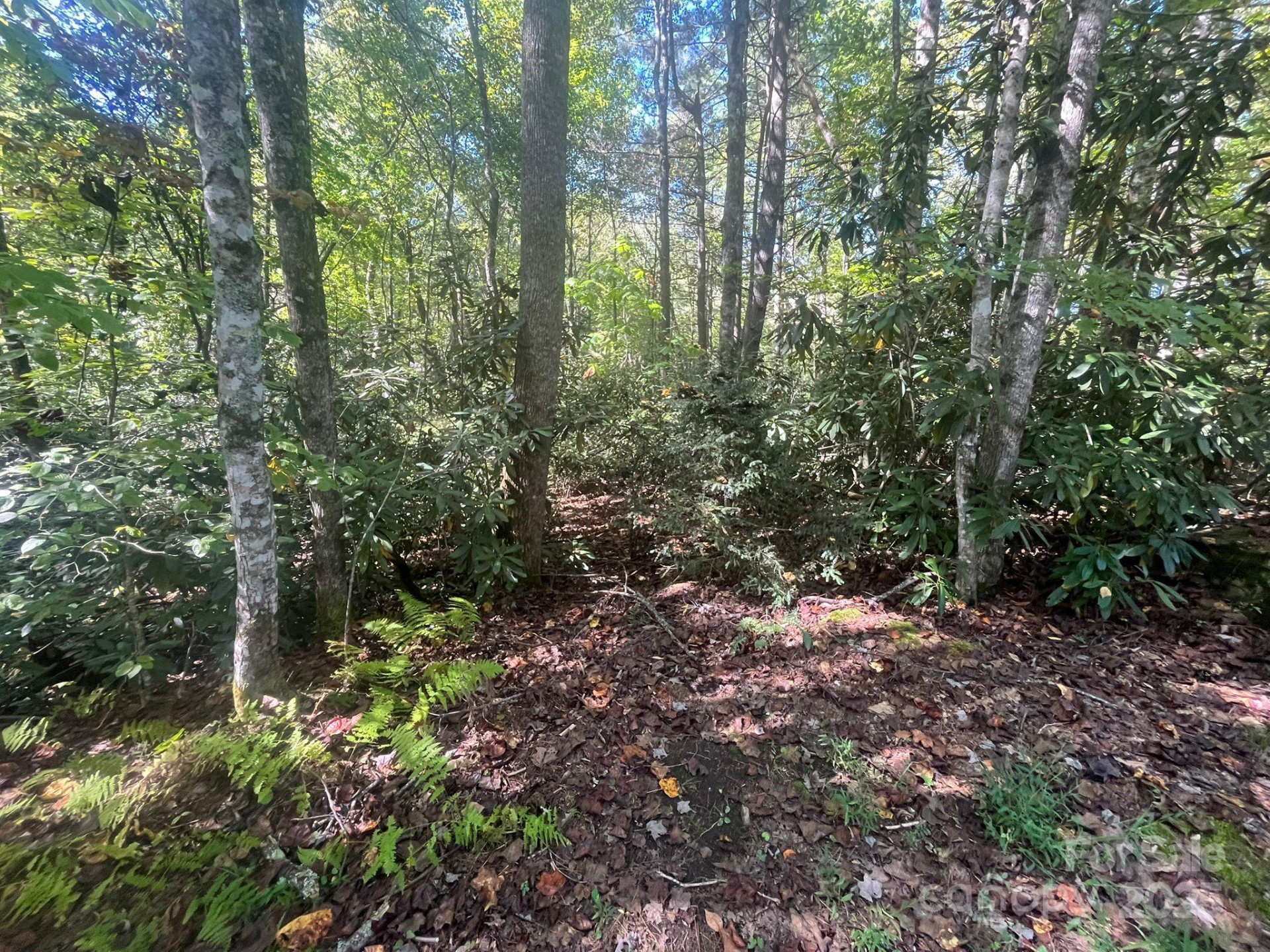 TBD Honeysuckle Ridge Road #Lot 14 - Photo 2