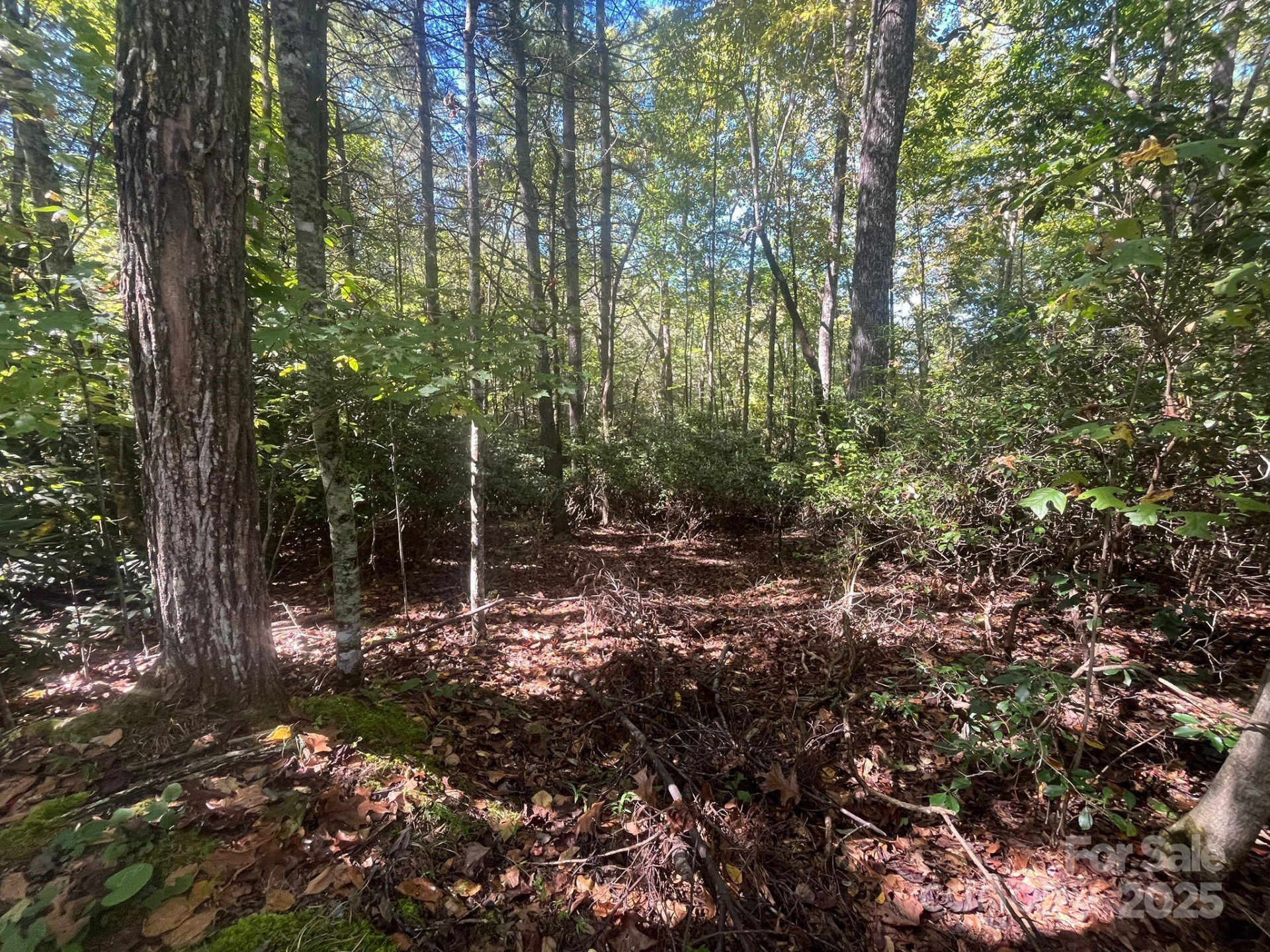 TBD Honeysuckle Ridge Road #Lot 14 - Photo 3
