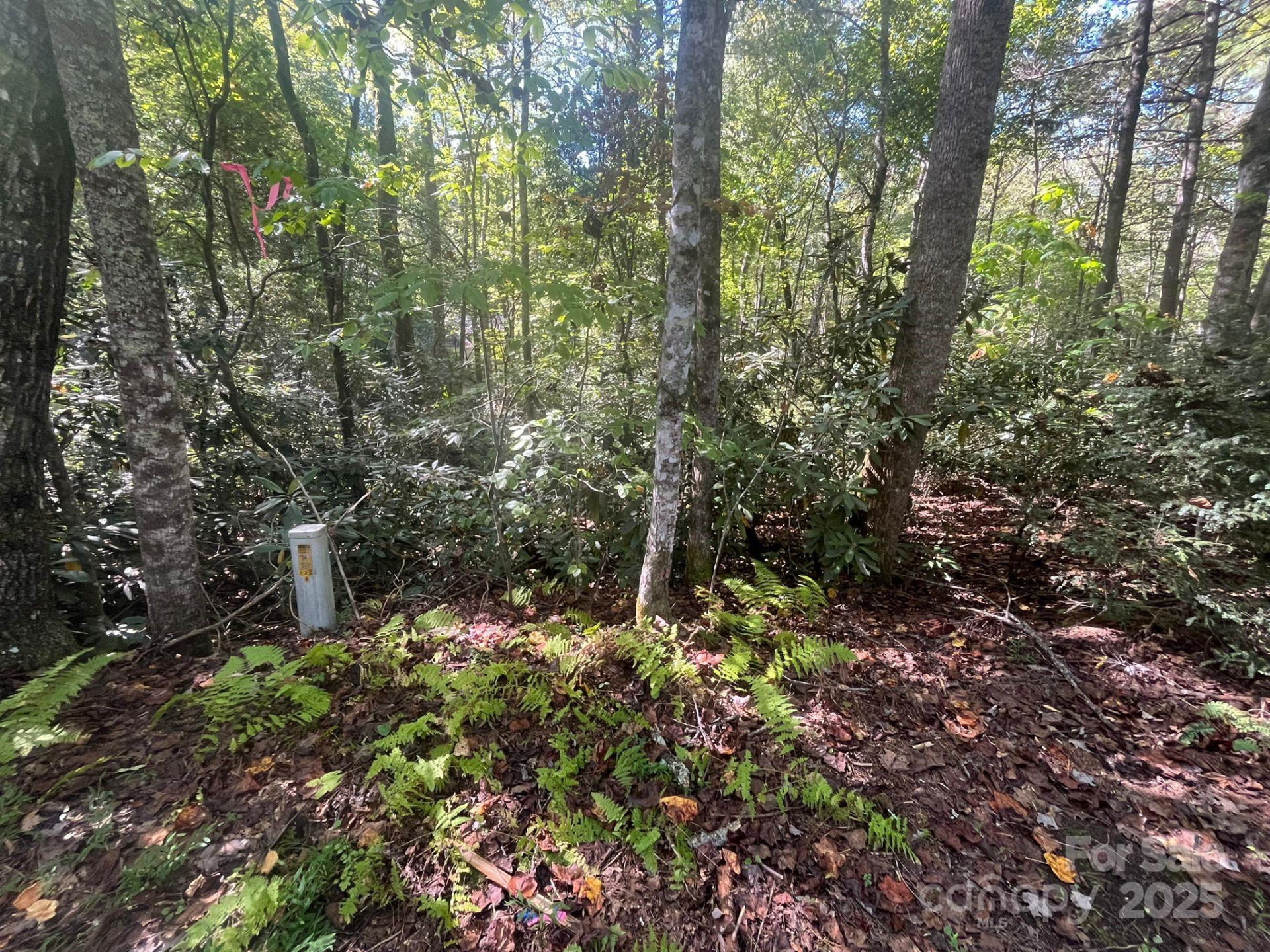 TBD Honeysuckle Ridge Road #Lot 14 - Photo 4