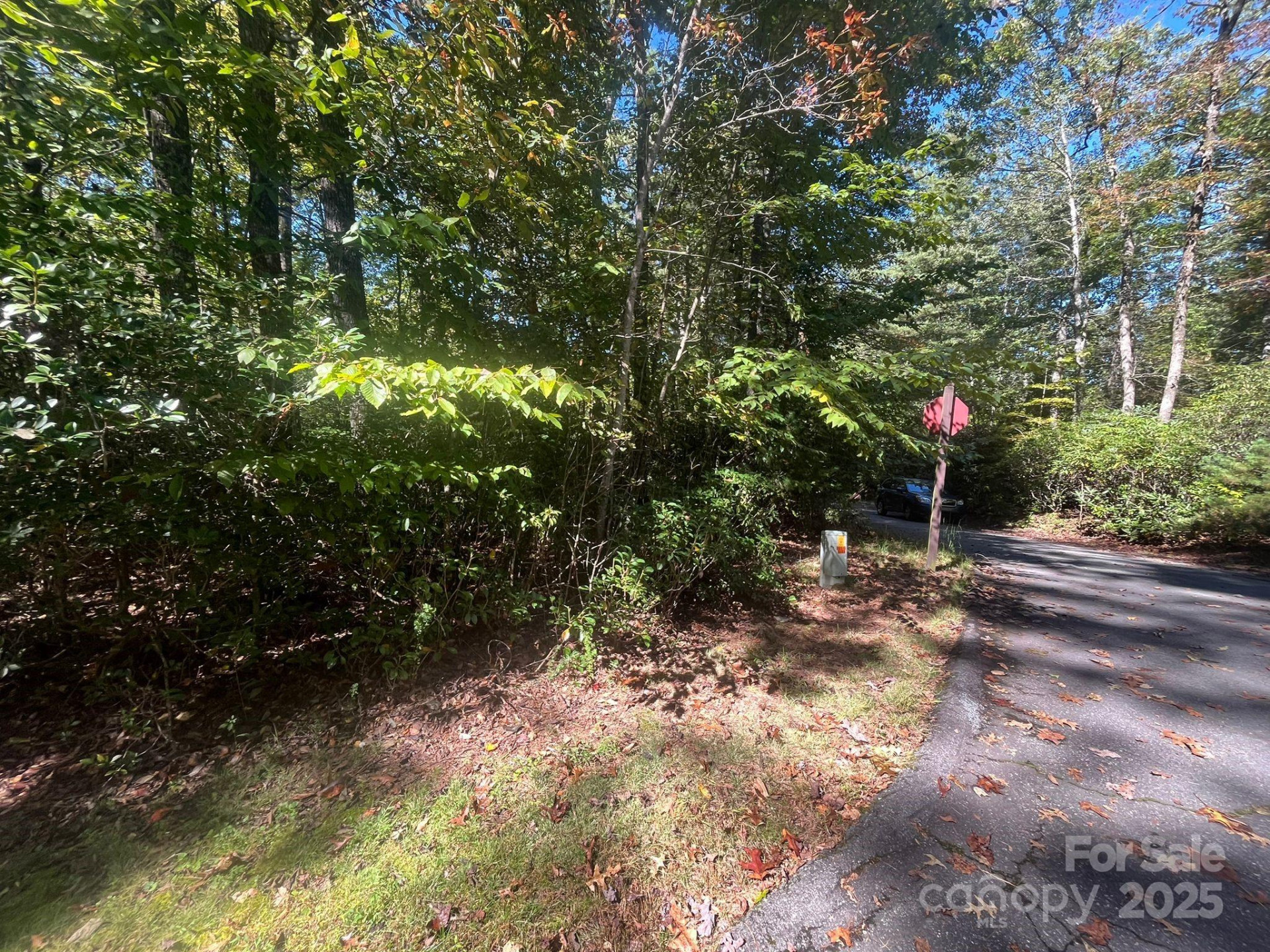 TBD Honeysuckle Ridge Road #Lot 14 - Photo 5