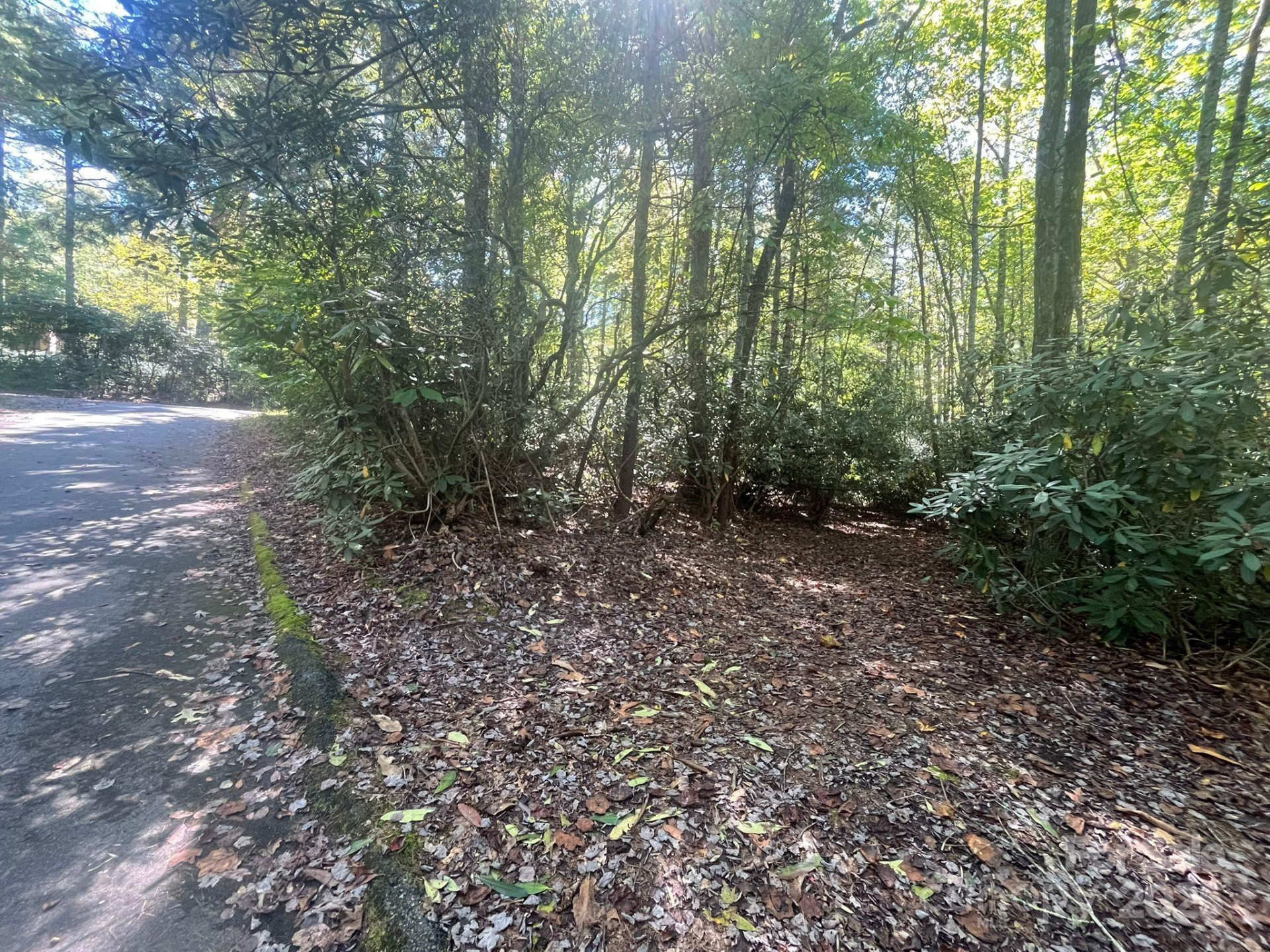 TBD Honeysuckle Ridge Road #Lot 14 - Photo 7