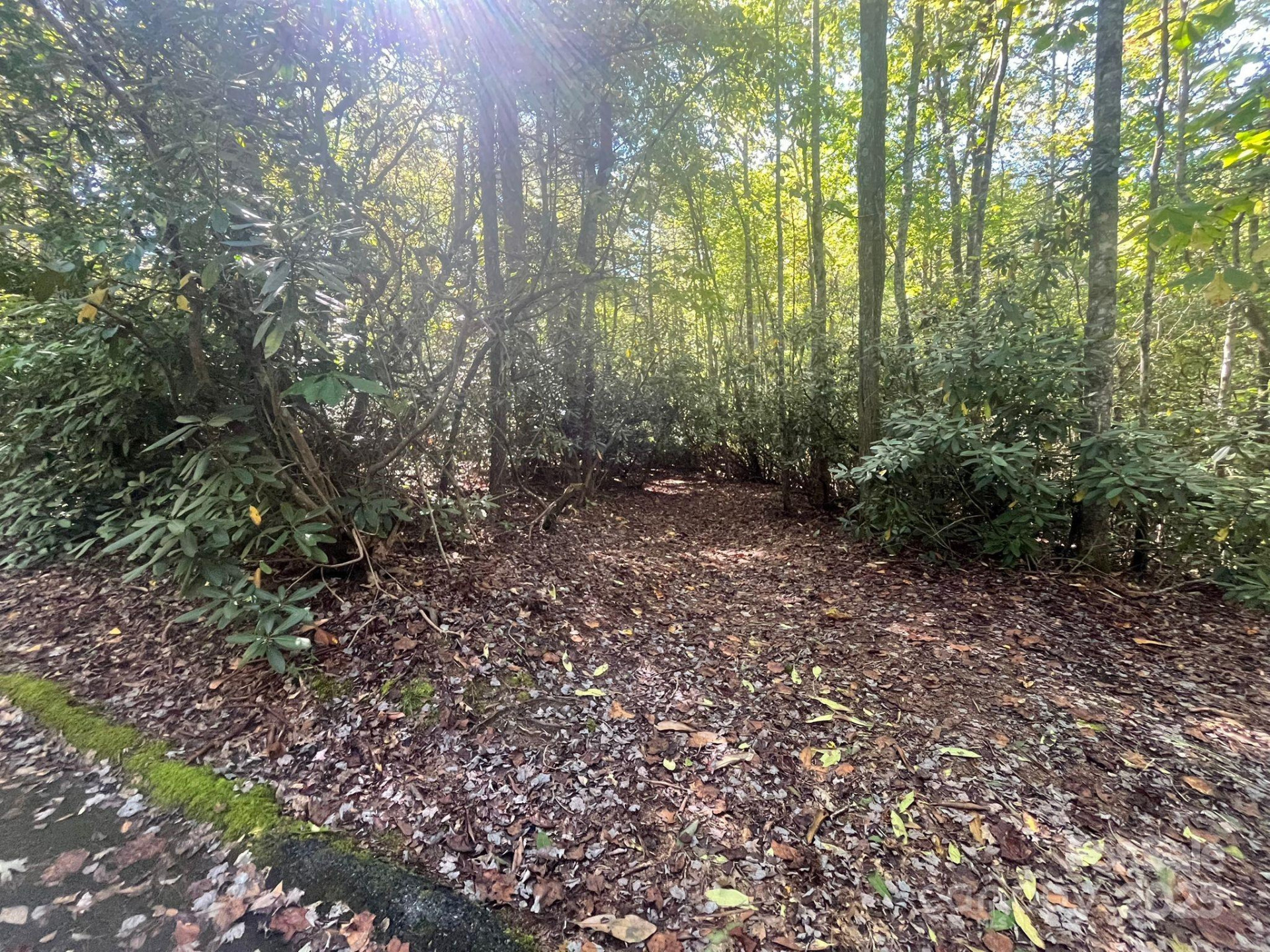 TBD Honeysuckle Ridge Road #Lot 14 - Photo 10
