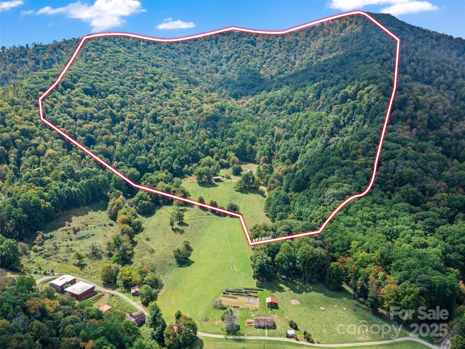 1099 Silas Branch Road - Photo 2