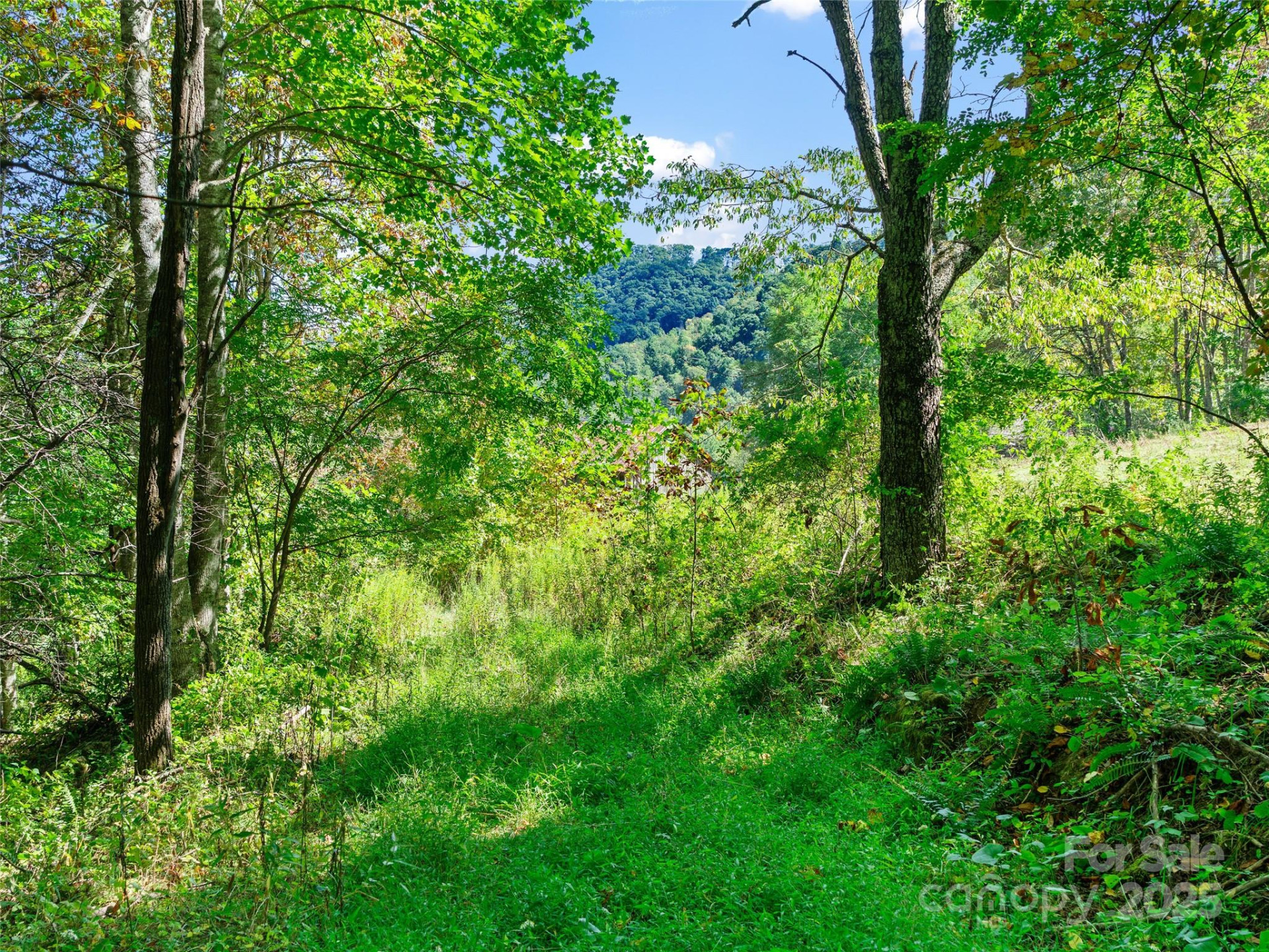 1099 Silas Branch Road - Photo 15