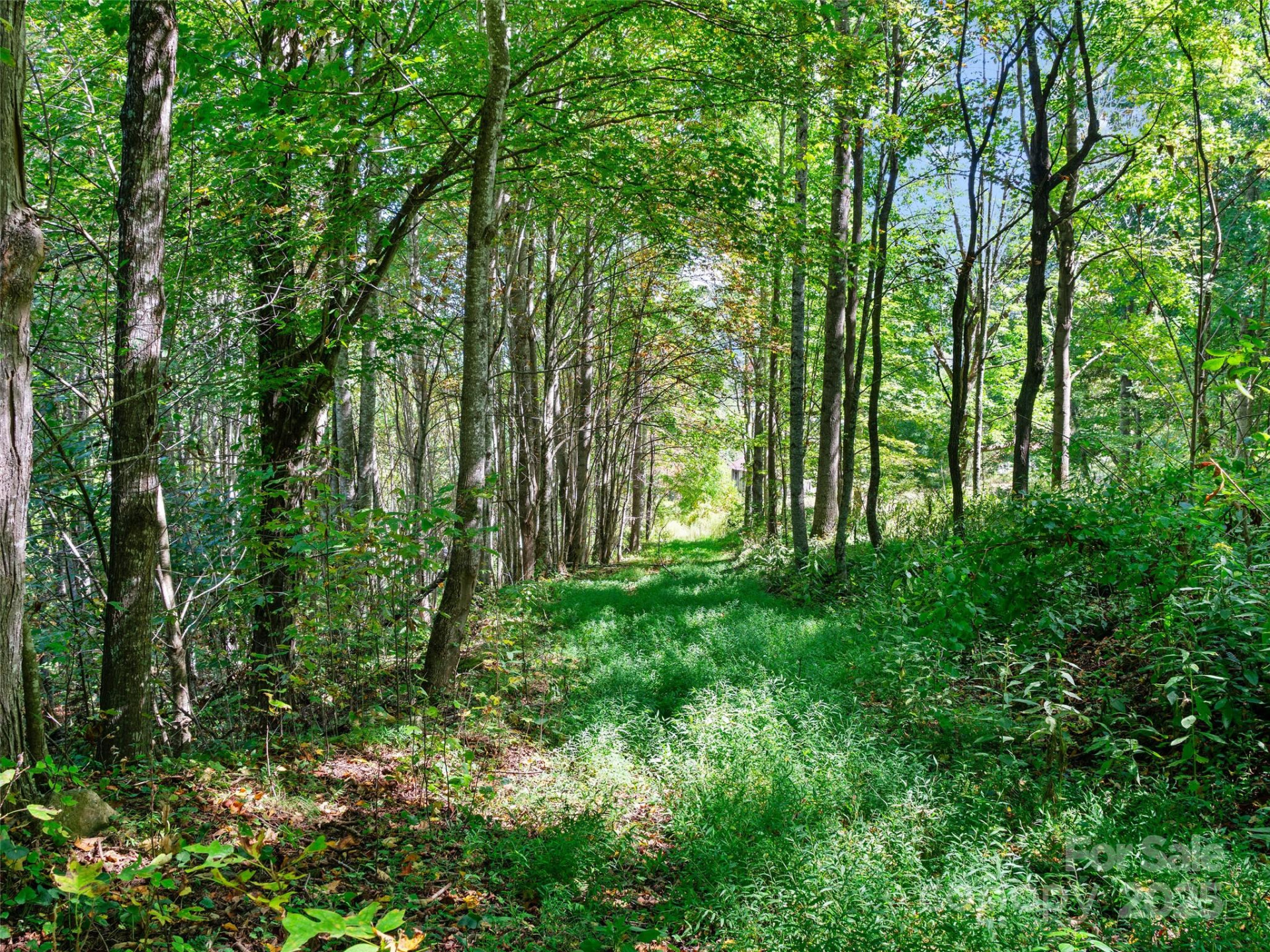 1099 Silas Branch Road - Photo 16