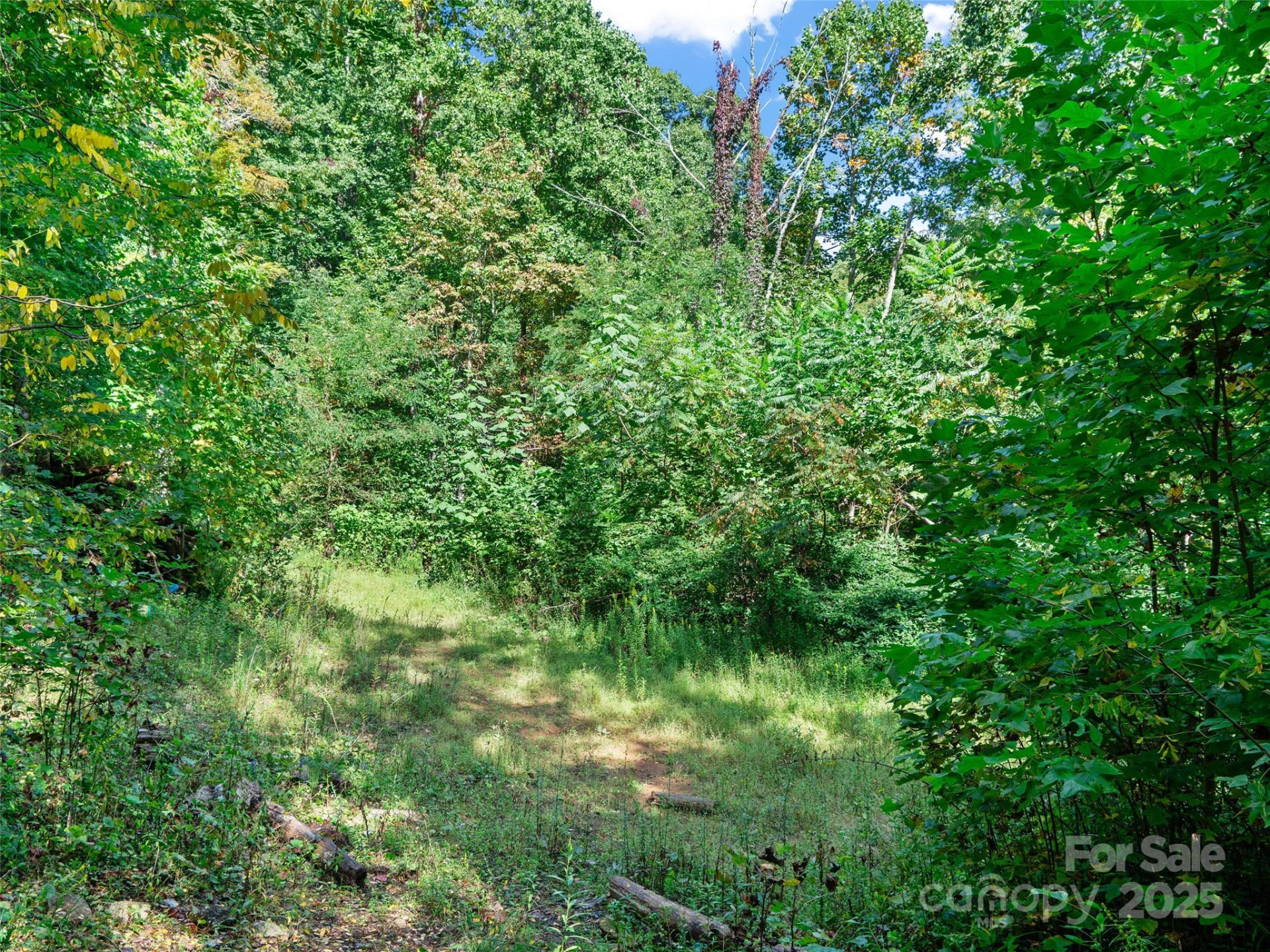 1099 Silas Branch Road - Photo 19