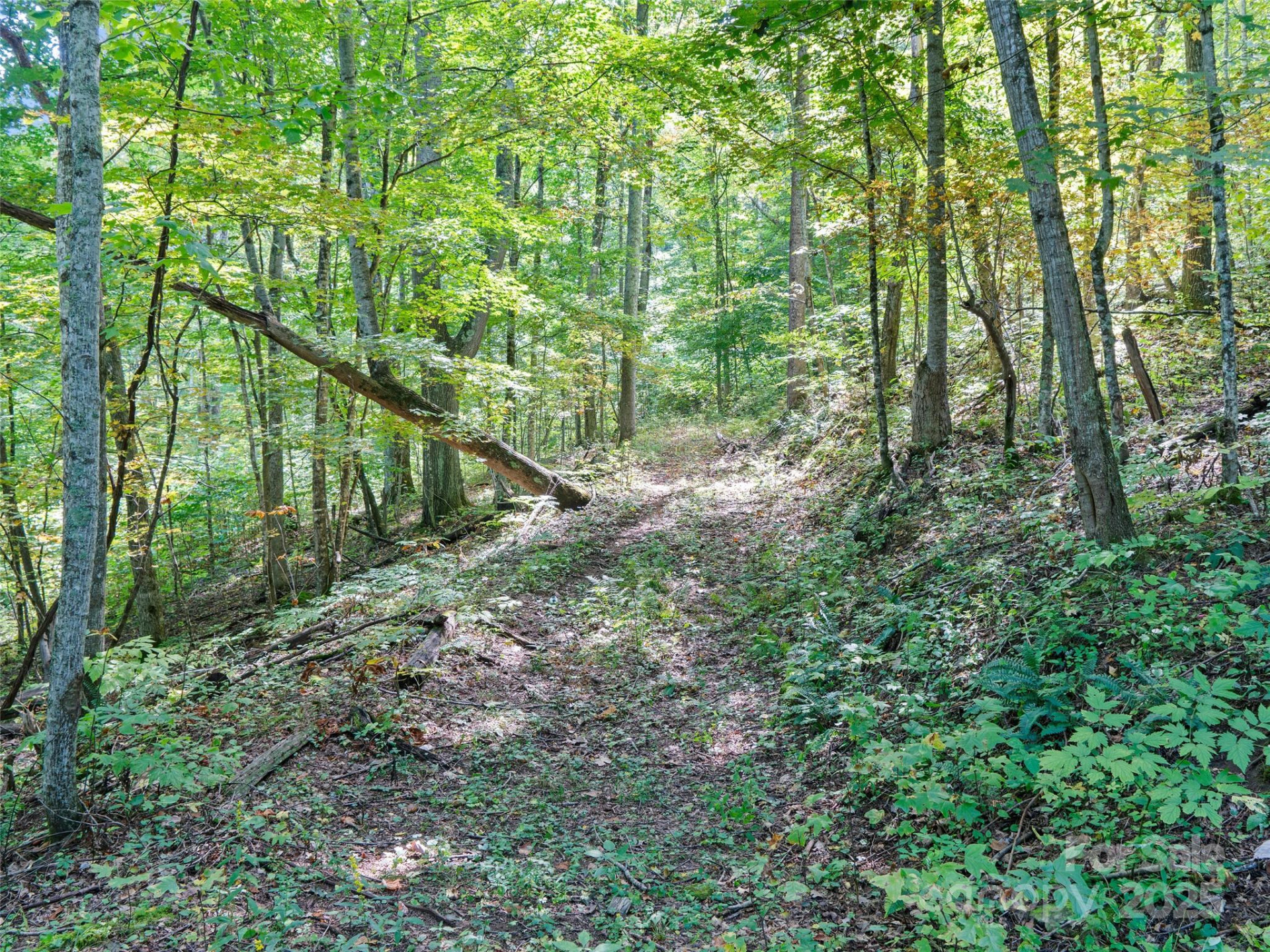 1099 Silas Branch Road - Photo 20