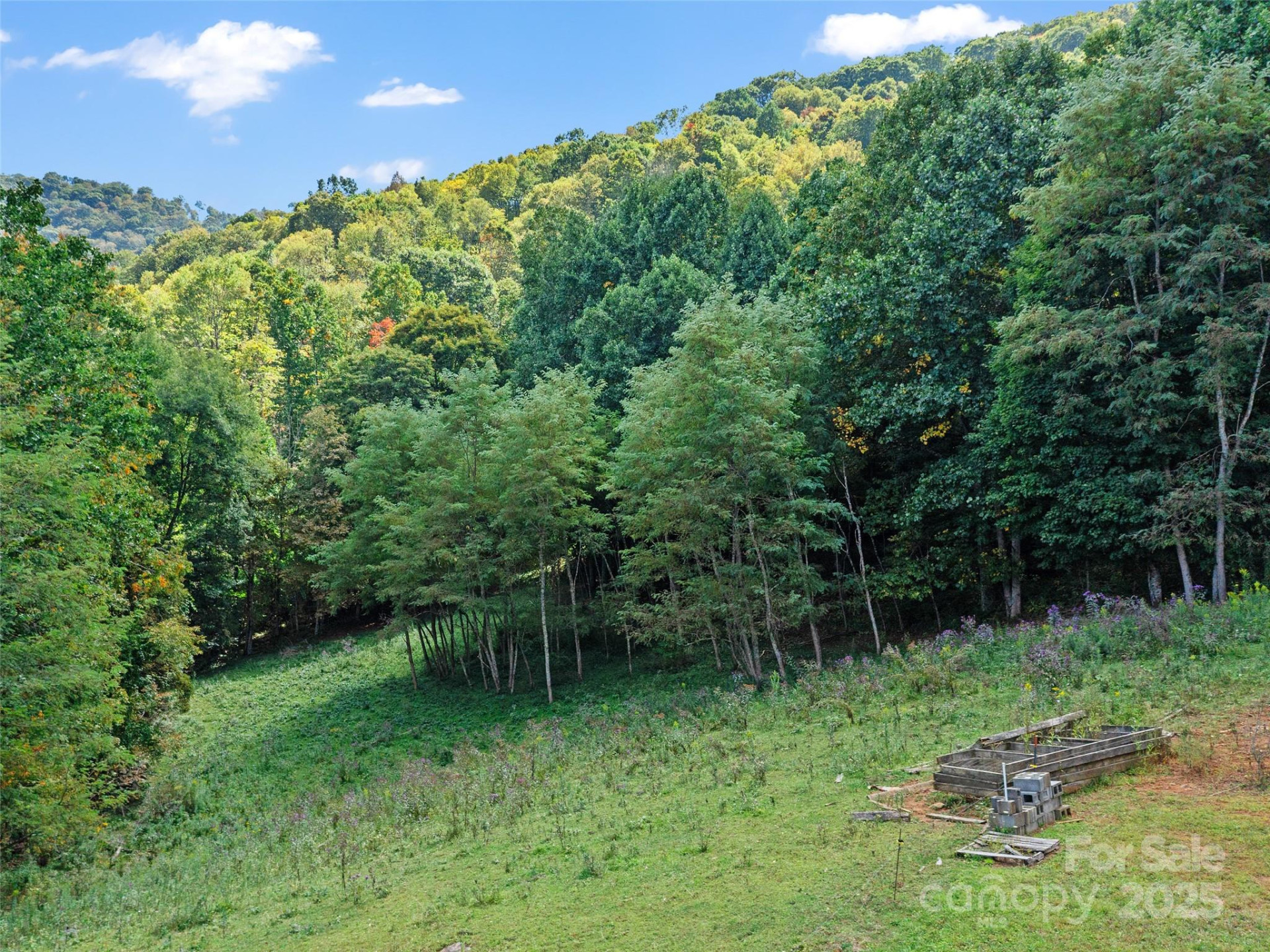 1099 Silas Branch Road - Photo 21