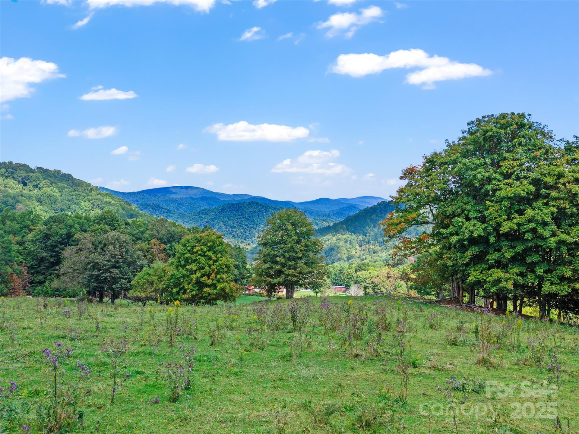 1099 Silas Branch Road - Photo 22