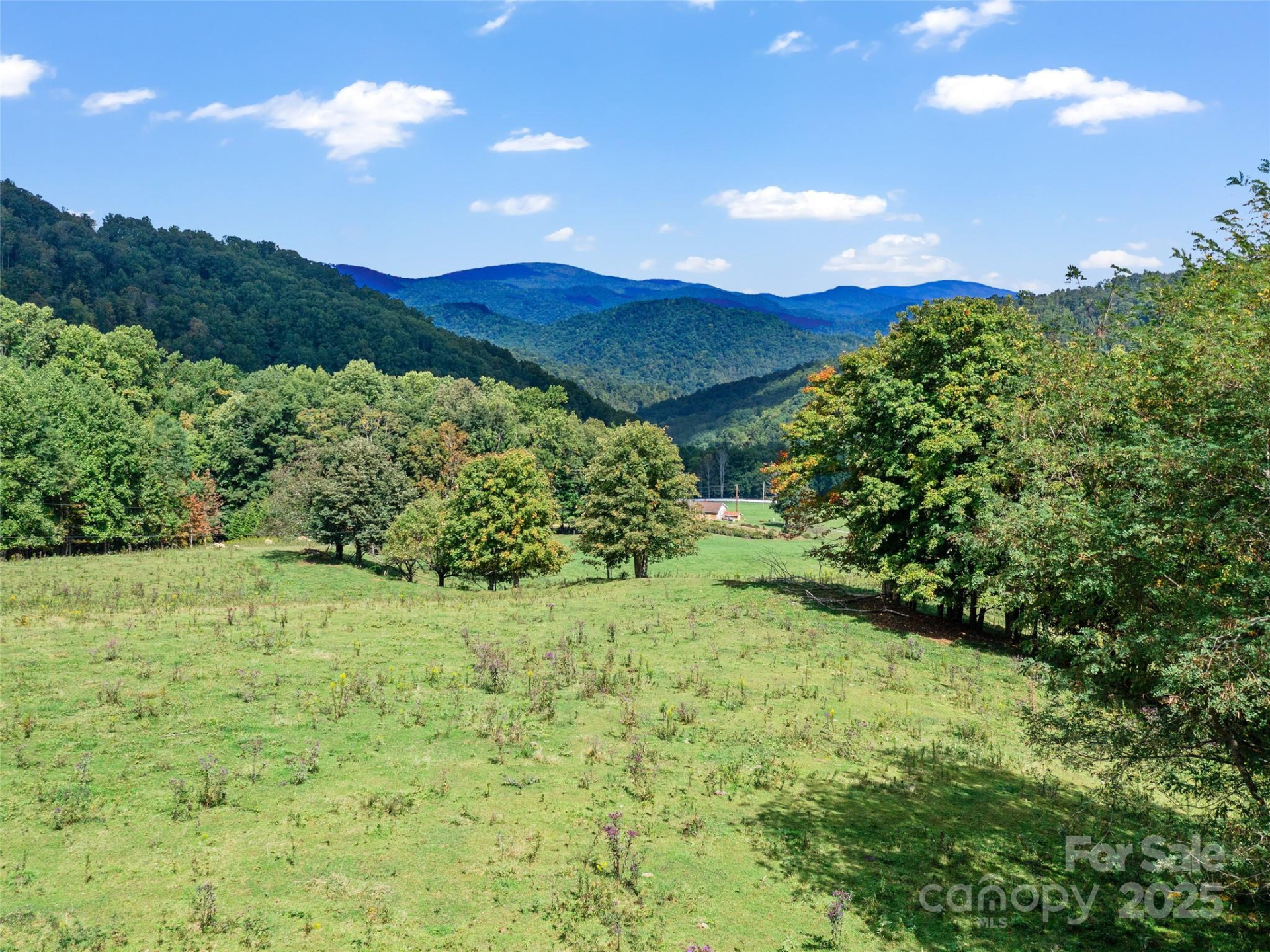 1099 Silas Branch Road - Photo 27