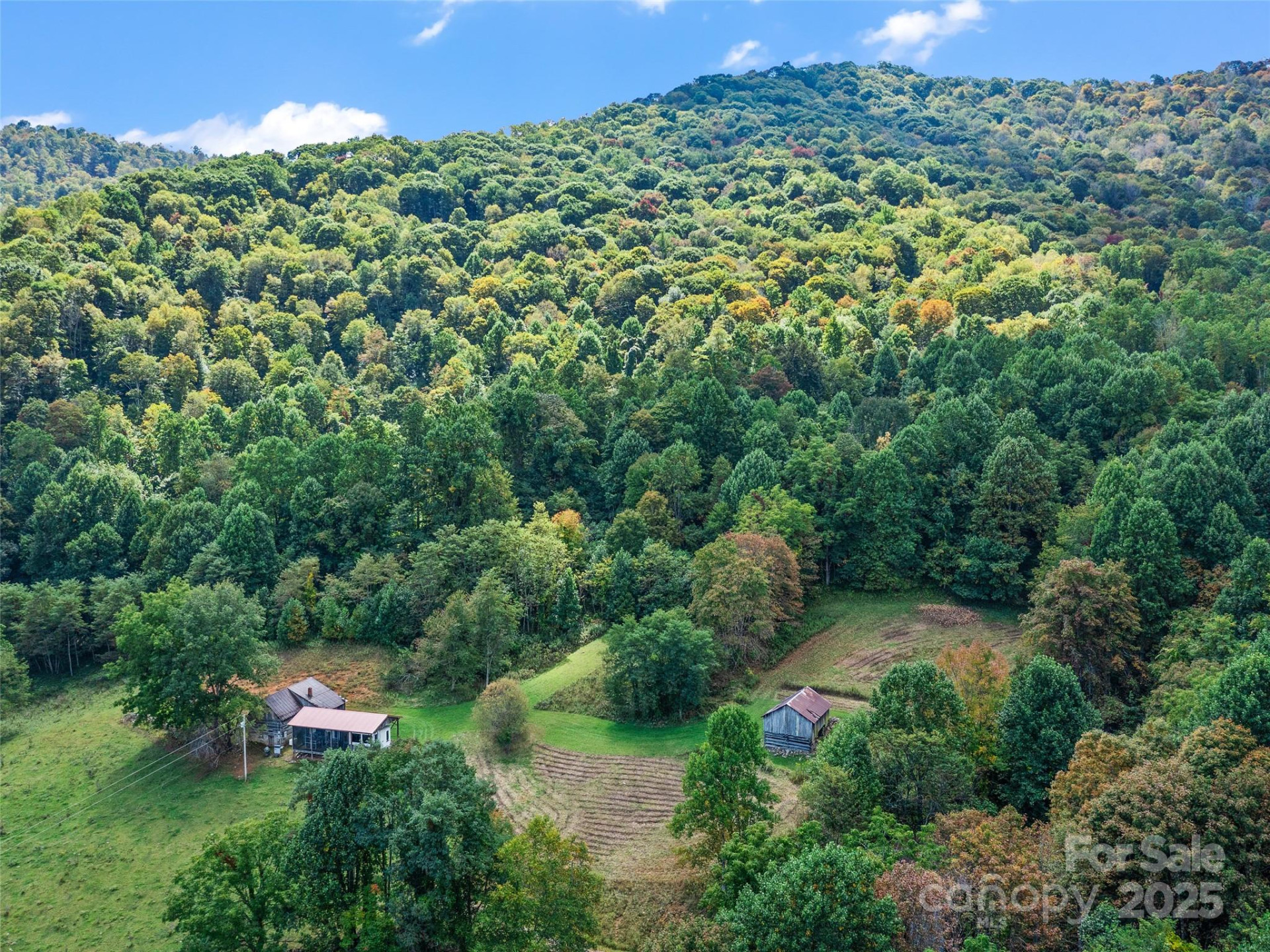 1099 Silas Branch Road - Photo 28