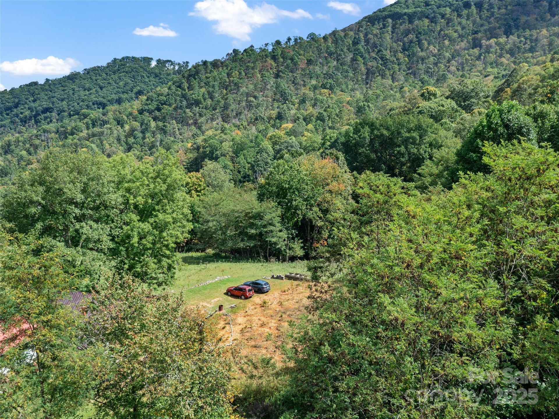 1099 Silas Branch Road - Photo 29