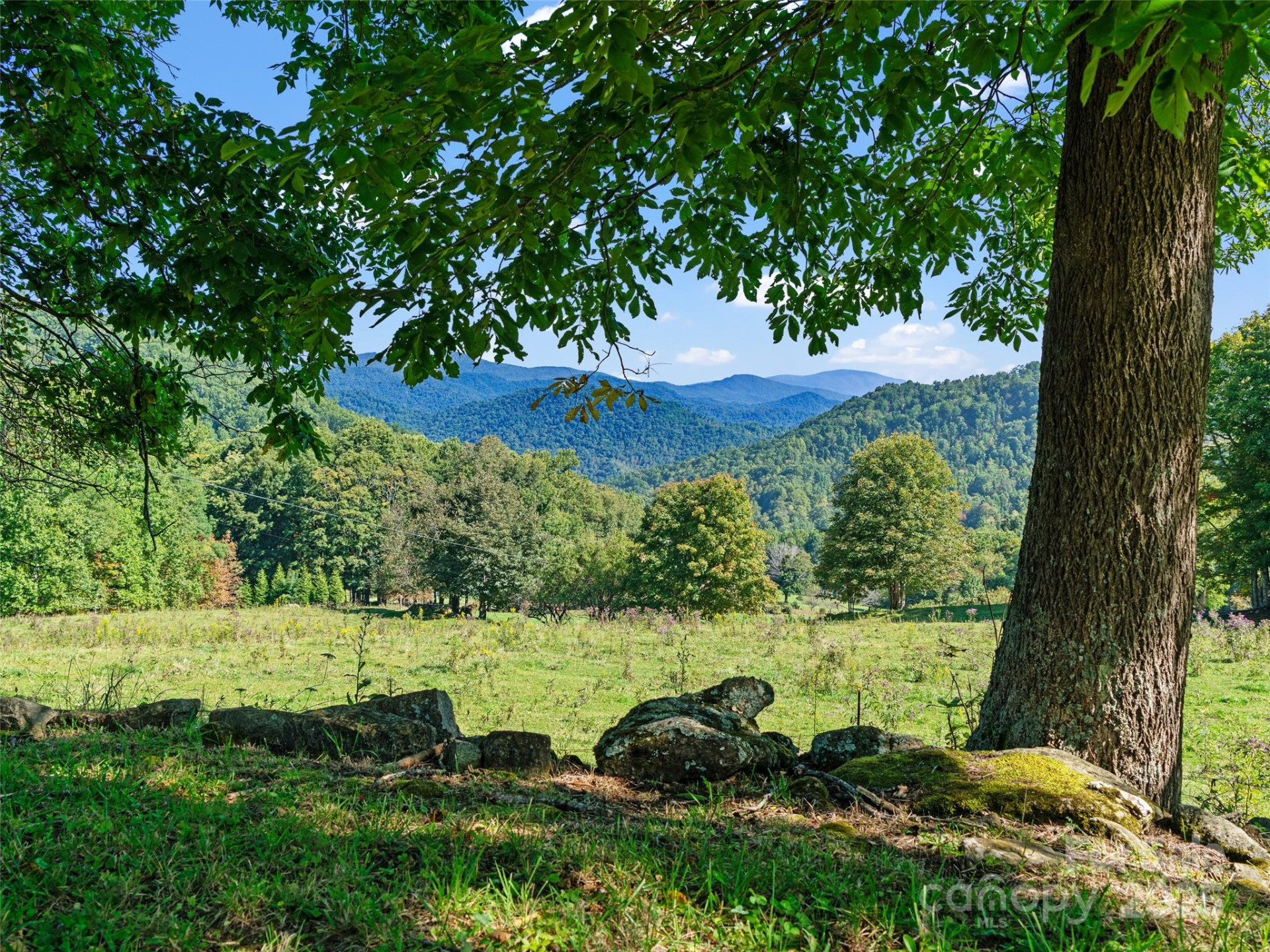 1099 Silas Branch Road - Photo 4