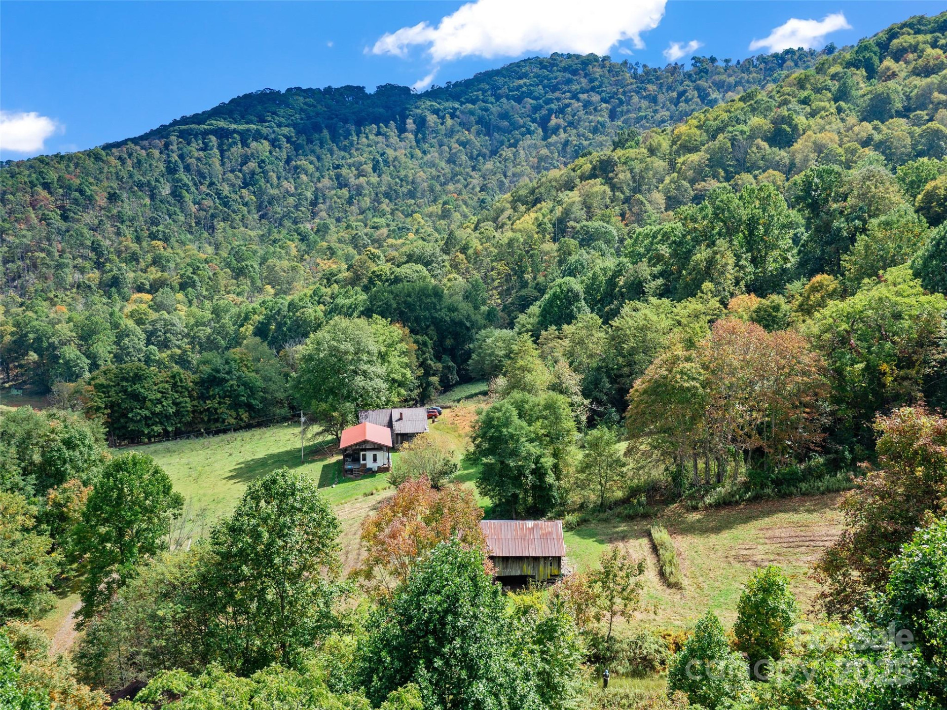 1099 Silas Branch Road - Photo 5