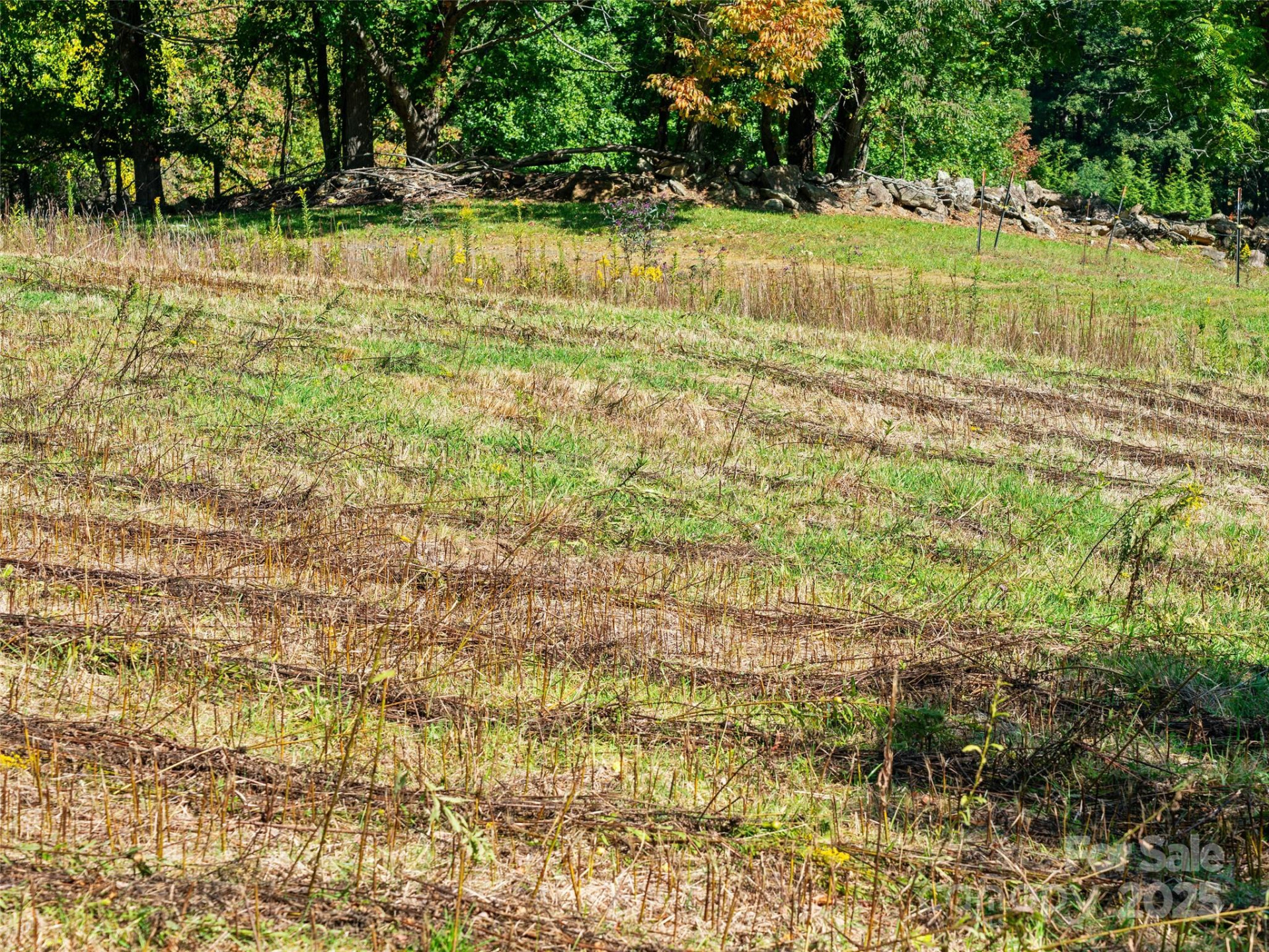 1099 Silas Branch Road - Photo 7