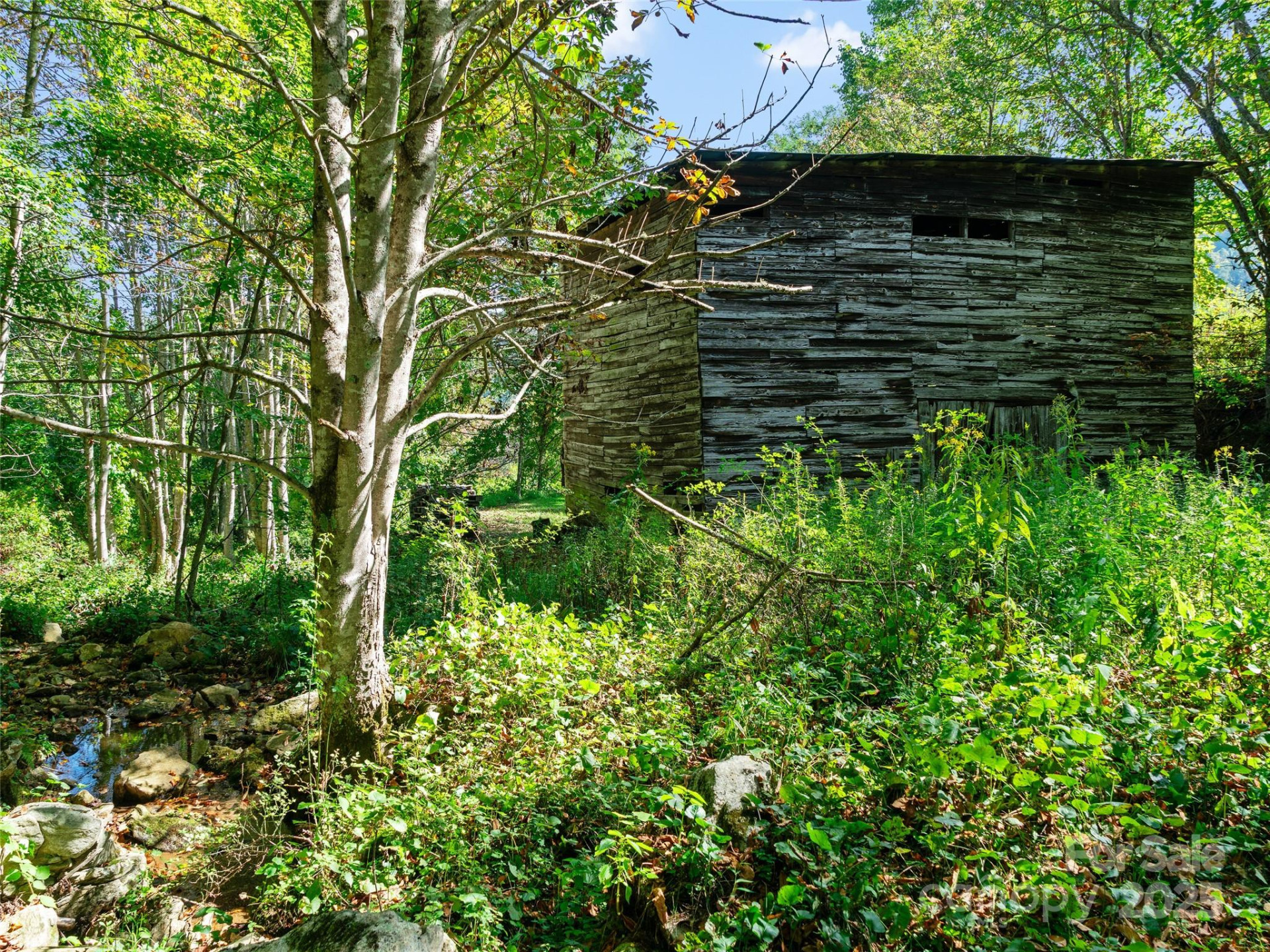 1099 Silas Branch Road - Photo 8