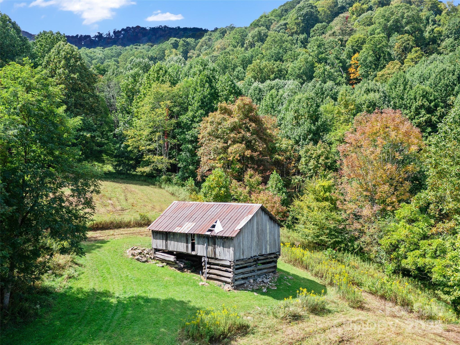 1099 Silas Branch Road - Photo 9