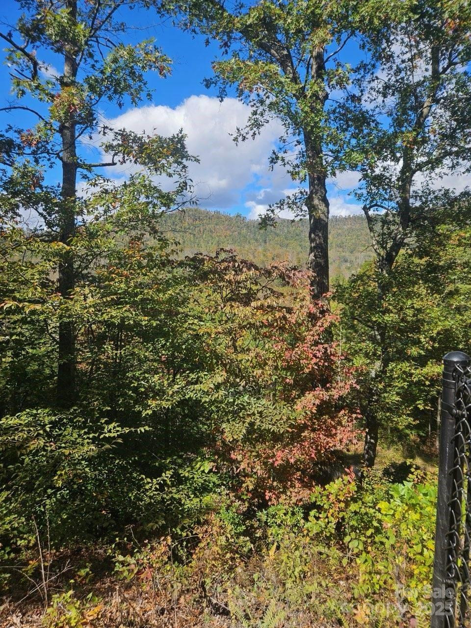 493 Spring Hill Road - Photo 3