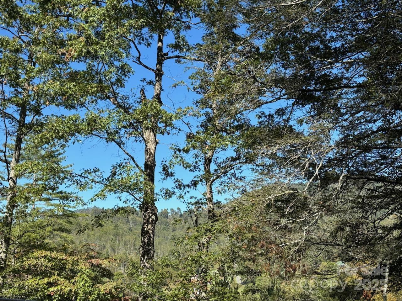 493 Spring Hill Road - Photo 4