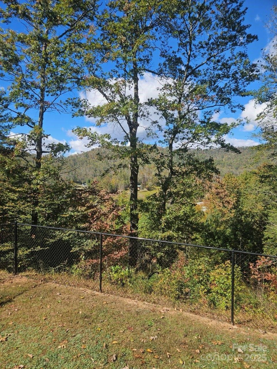 493 Spring Hill Road - Photo 6