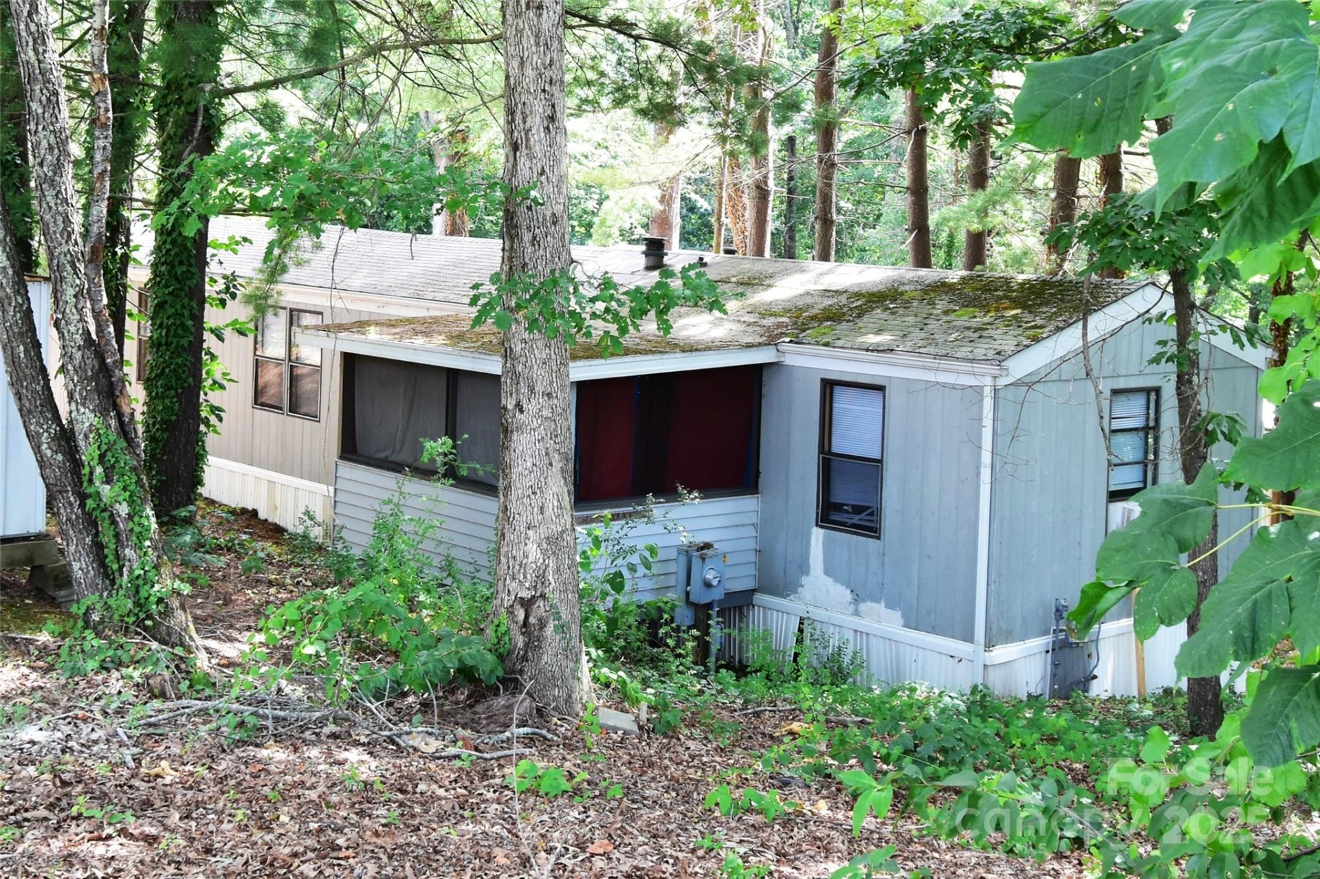 295 Asbury Road - Photo 4