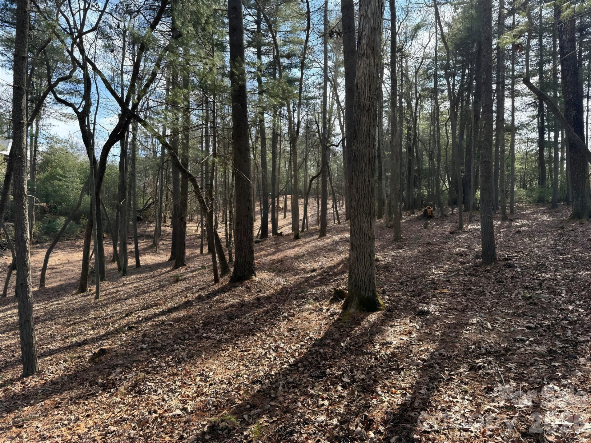 0 Cedar Hill Drive #24 - Photo 2