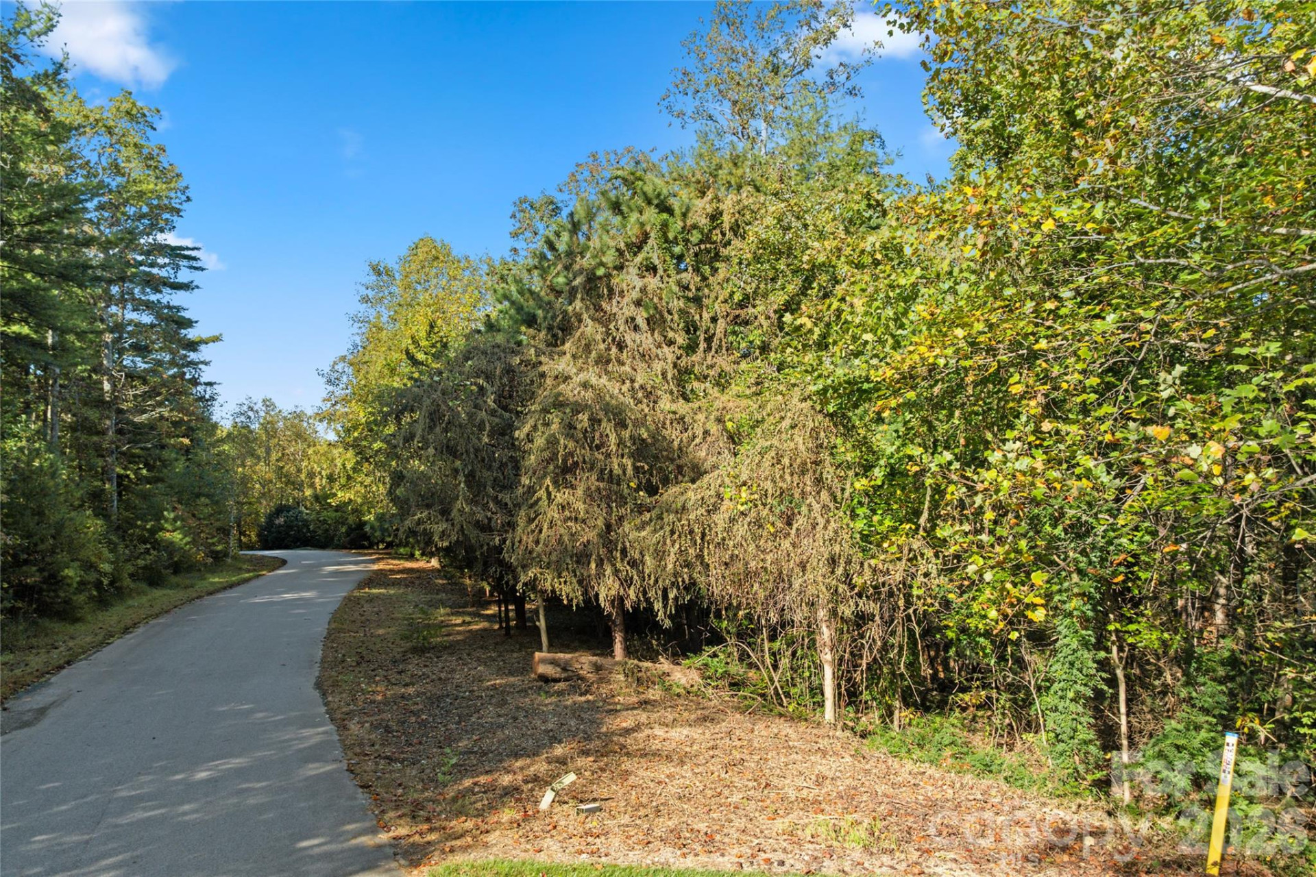 0 Cedar Hill Drive #24 - Photo 6