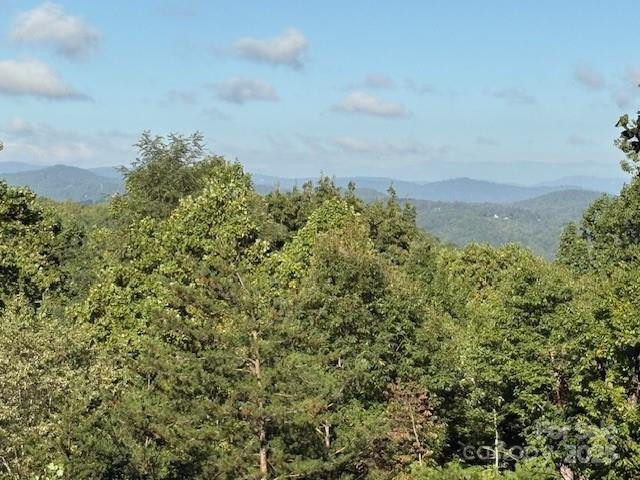 1077 Melrose Mountain Road - Photo 4