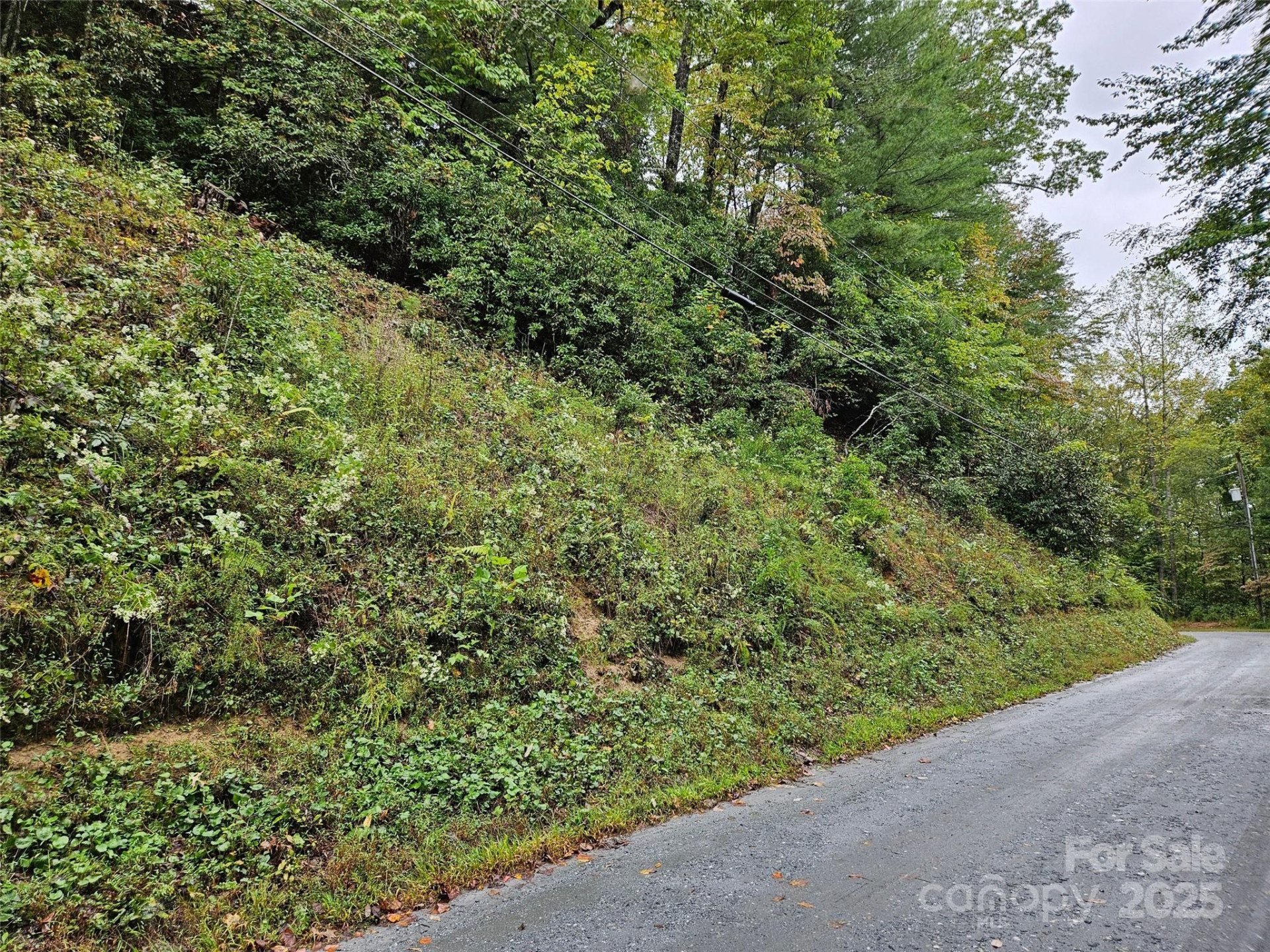 0 Rainbow Circle #8 - Photo 2