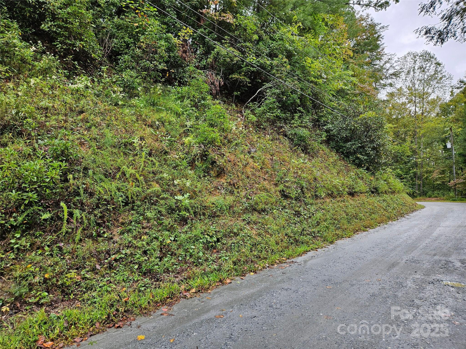 0 Rainbow Circle #8 - Photo 7