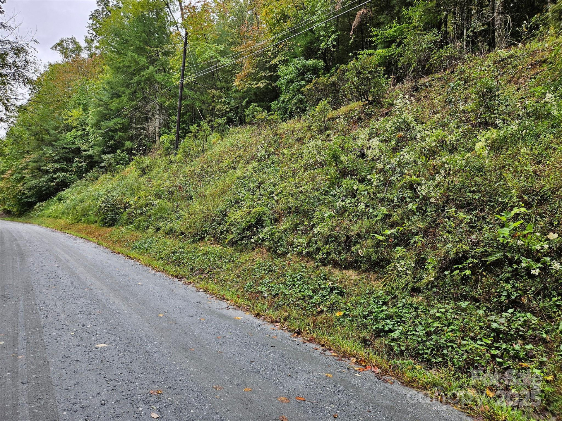 0 Rainbow Circle #8 - Photo 8