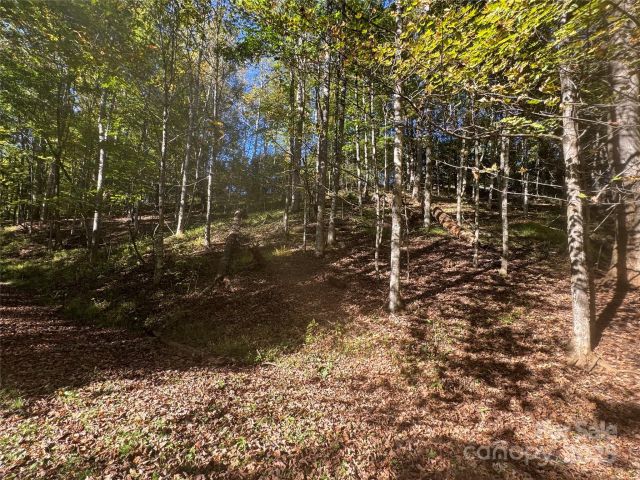 9 Susanna Cove, Mars Hill, NC, 28754