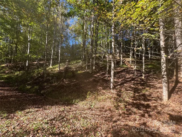 9 Susanna Cove, Mars Hill, NC, 28754