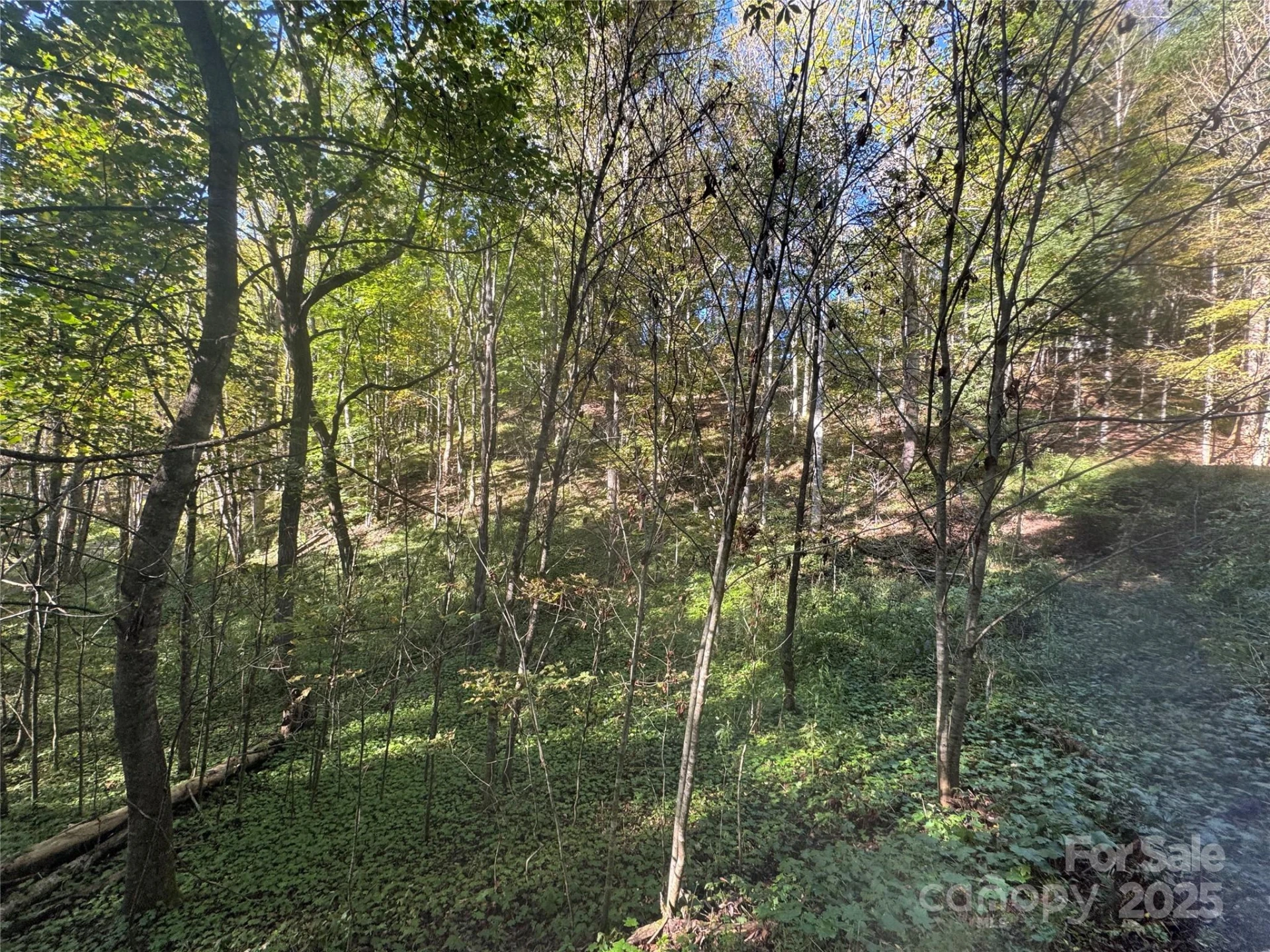 9 Susanna Cove - Photo 11