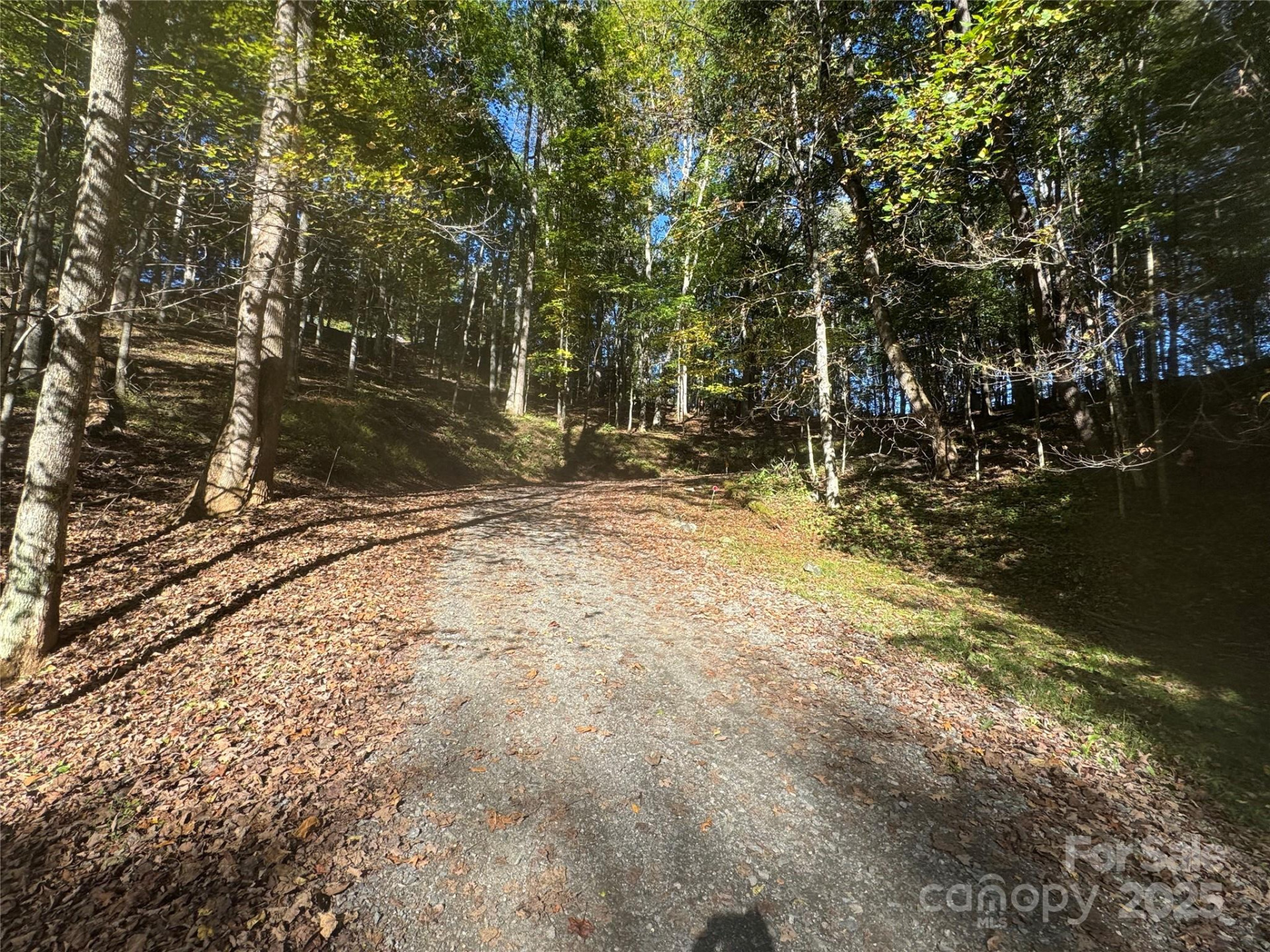 9 Susanna Cove - Photo 12