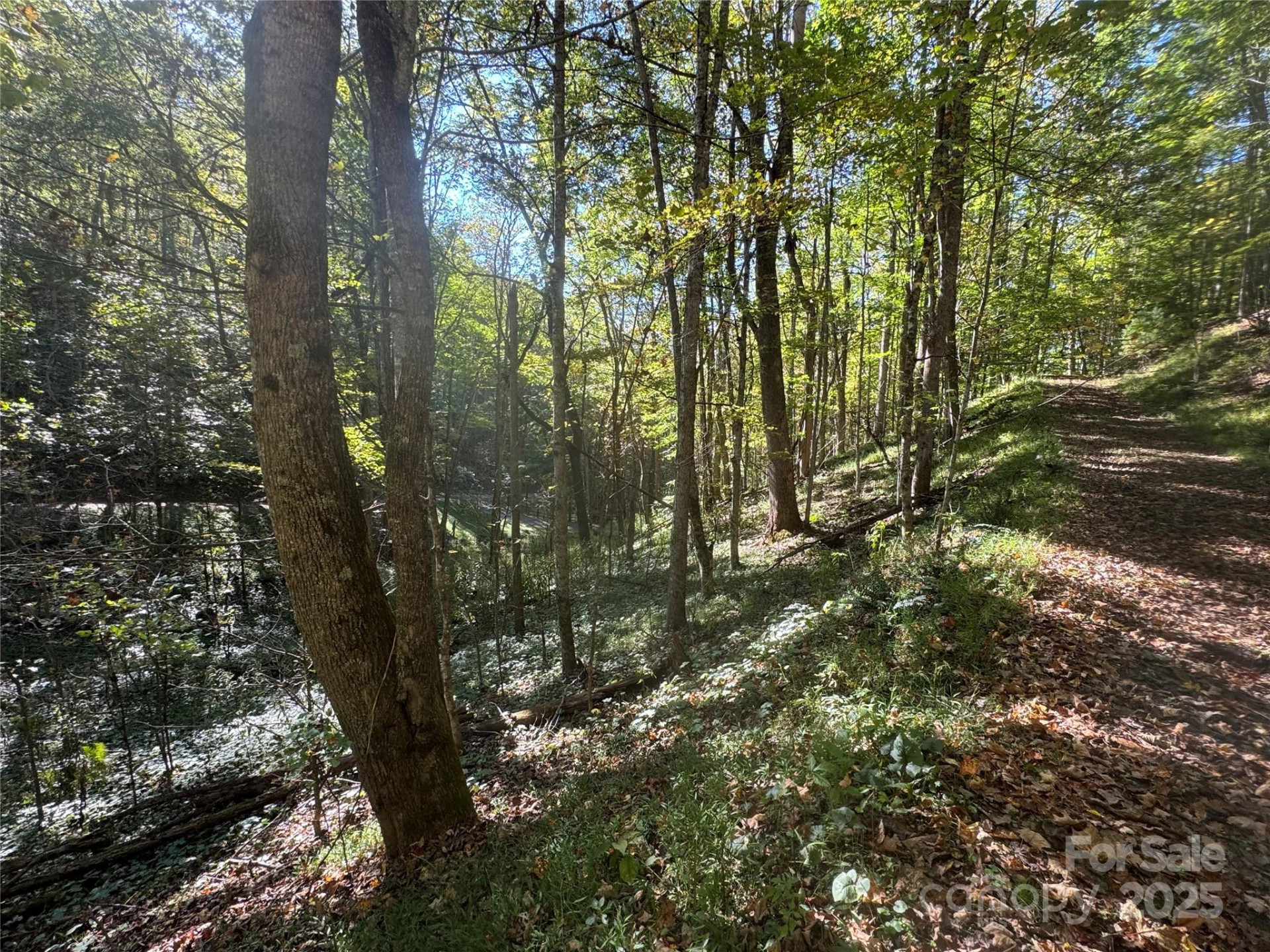 9 Susanna Cove - Photo 3