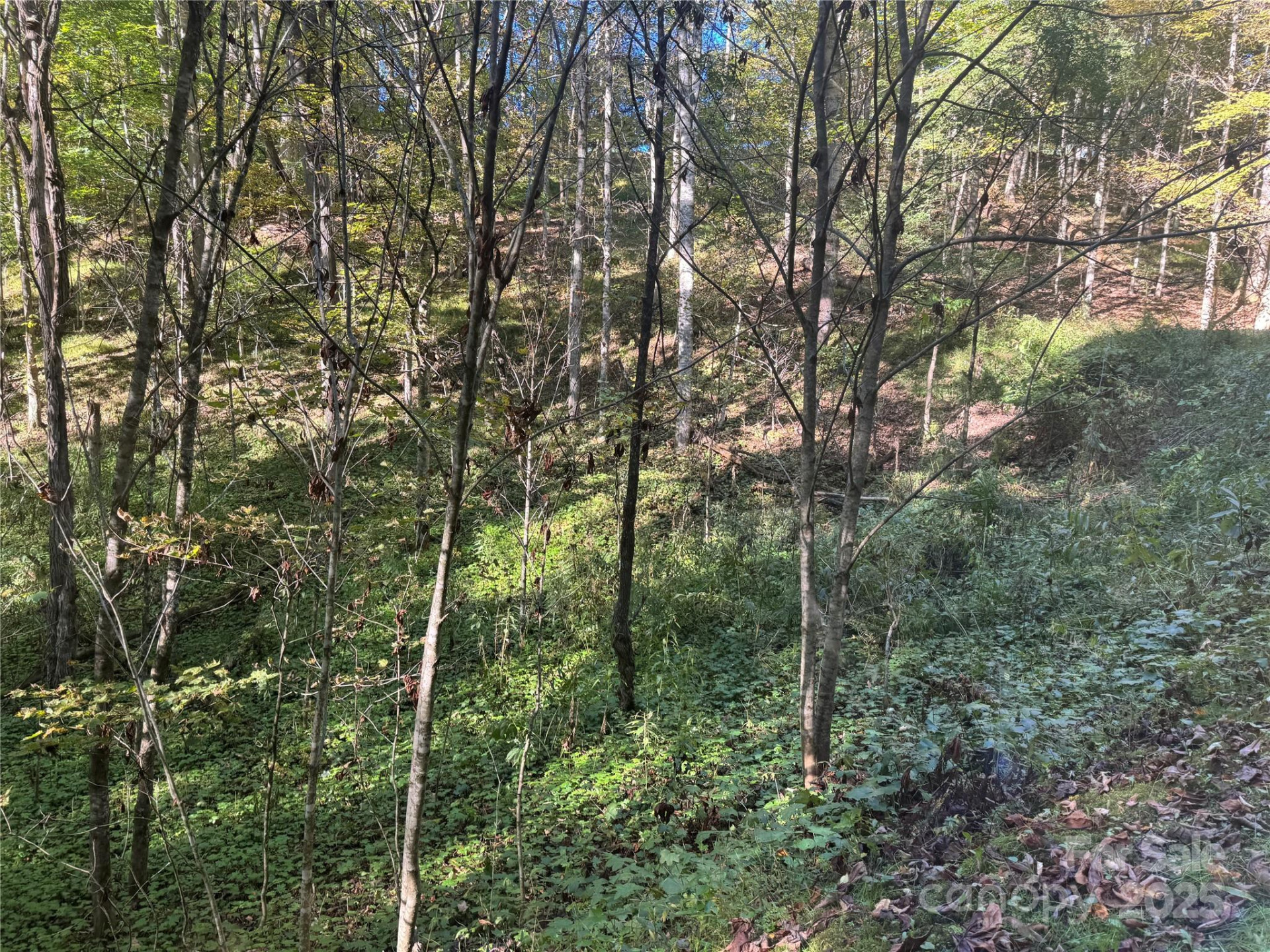 9 Susanna Cove - Photo 4